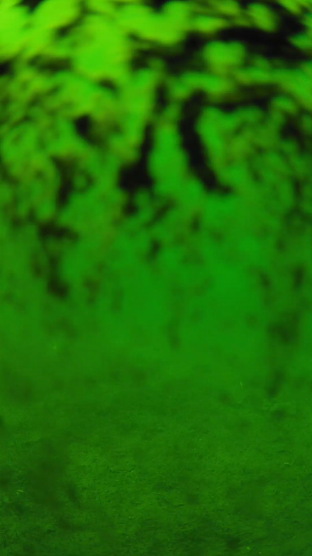 lander_ipcam_20240705133553.png