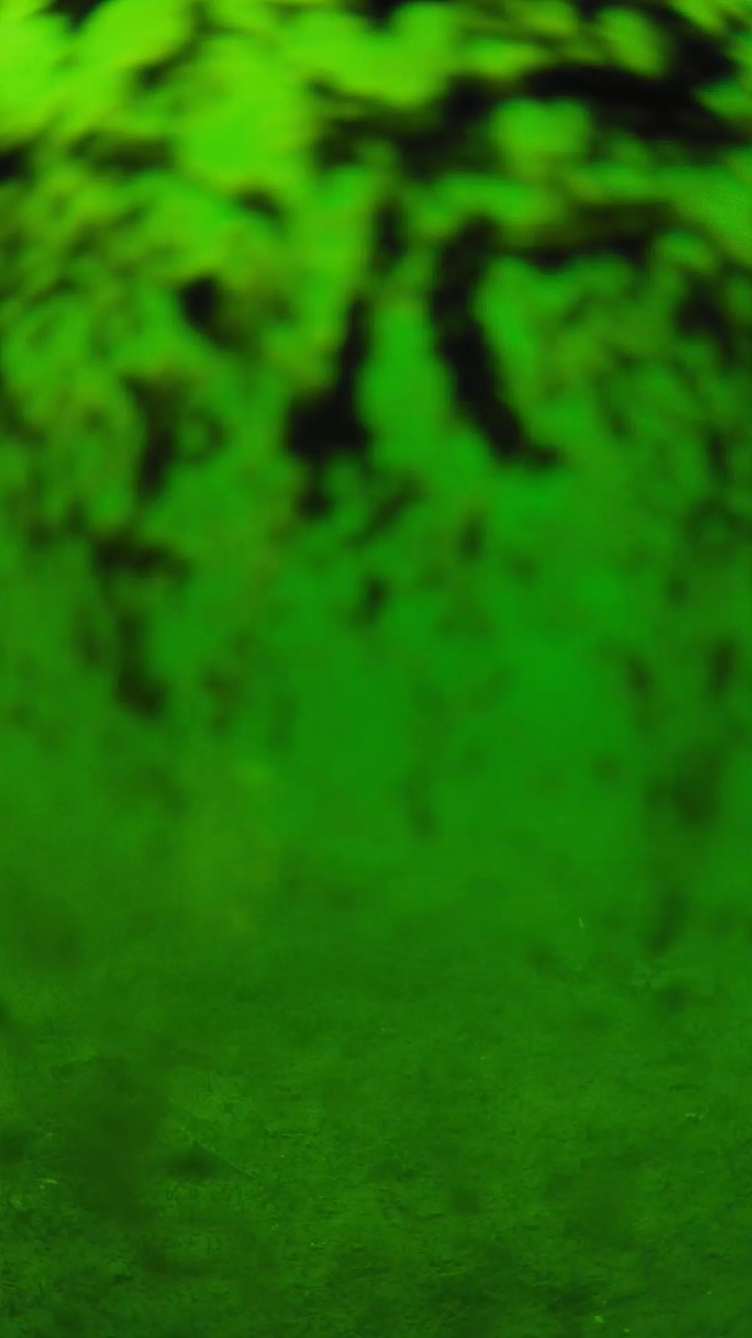 lander_ipcam_20240705133606.png