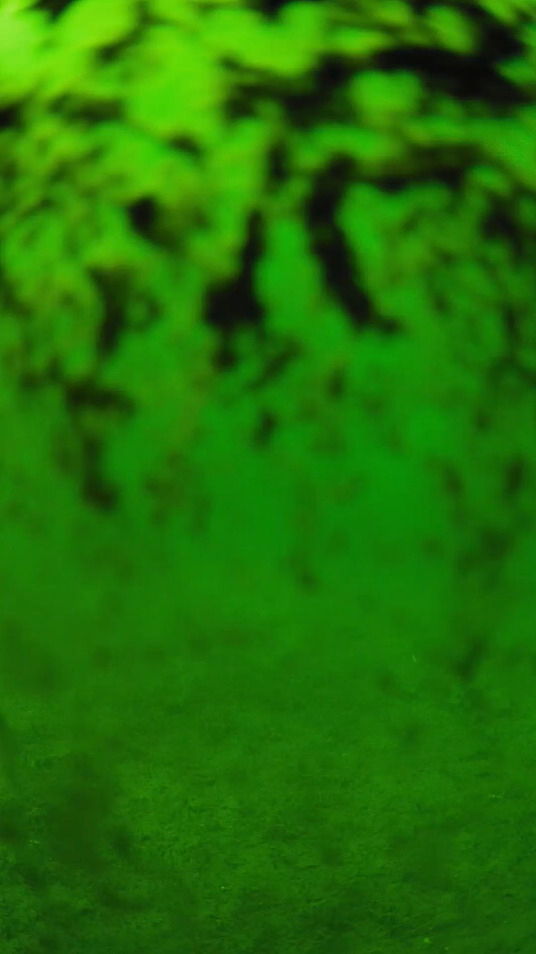 lander_ipcam_20240705140542.png