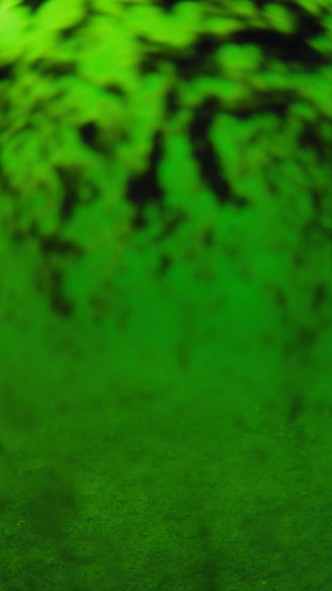 lander_ipcam_20240705140545.png