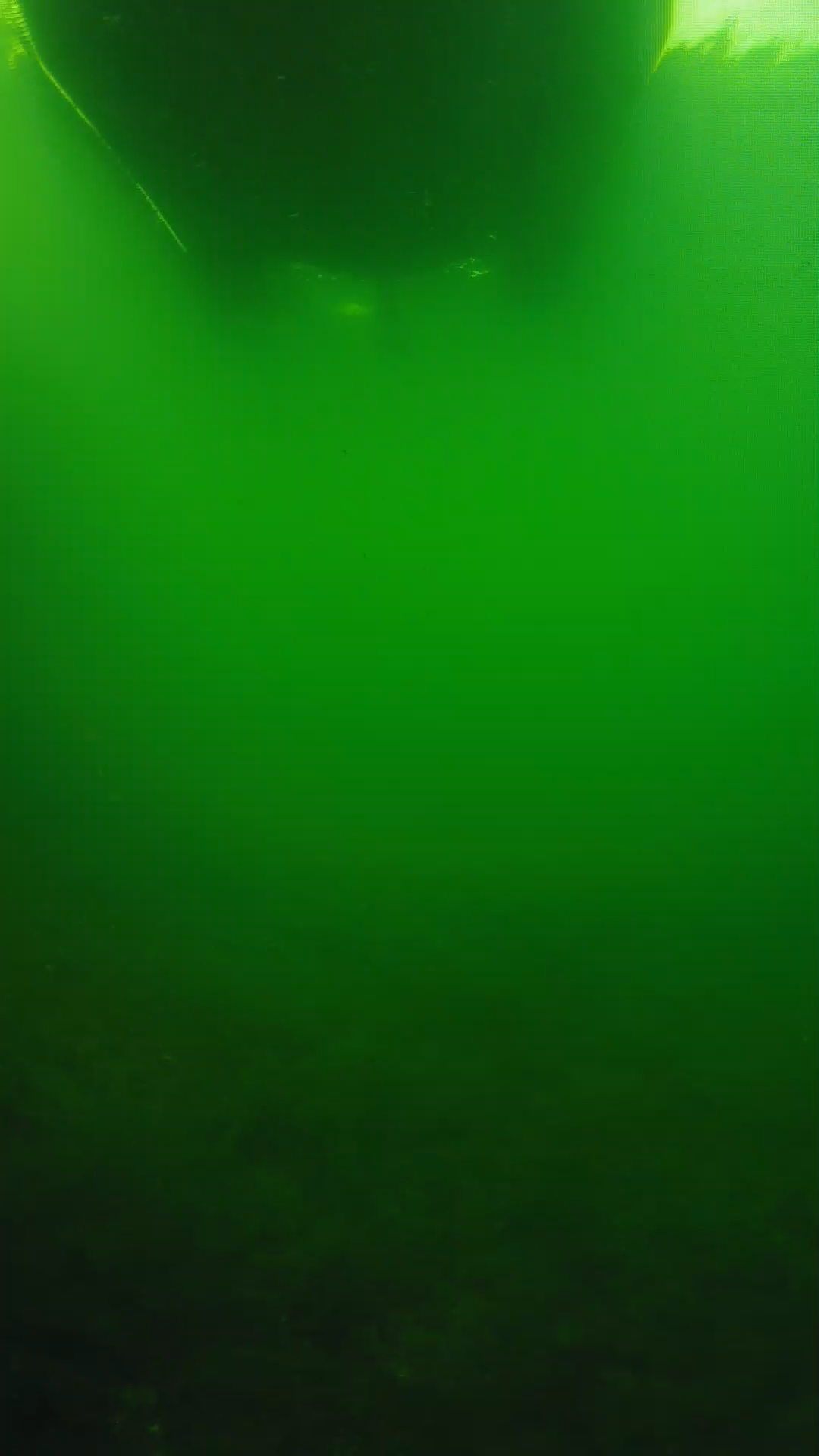 lander_ipcam_20250604094602.png
