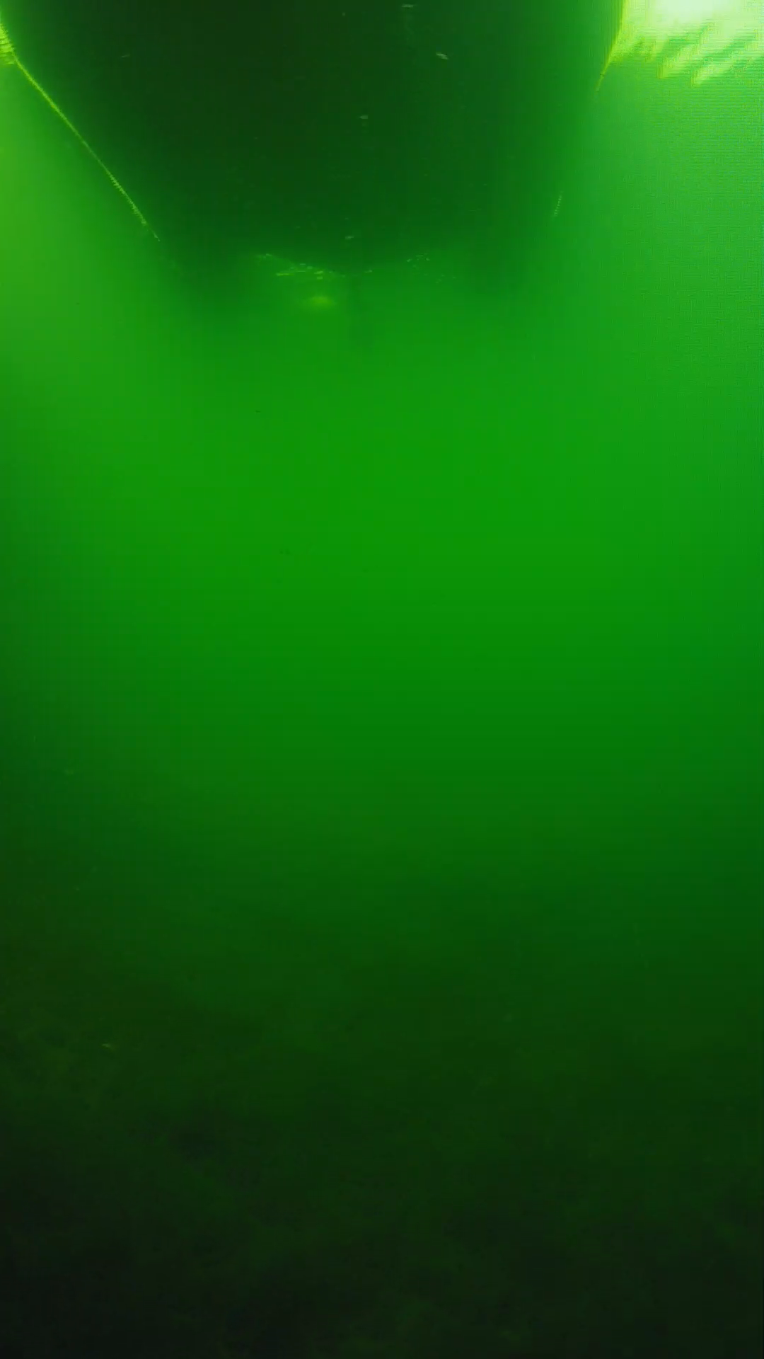 lander_ipcam_20250604094603.png