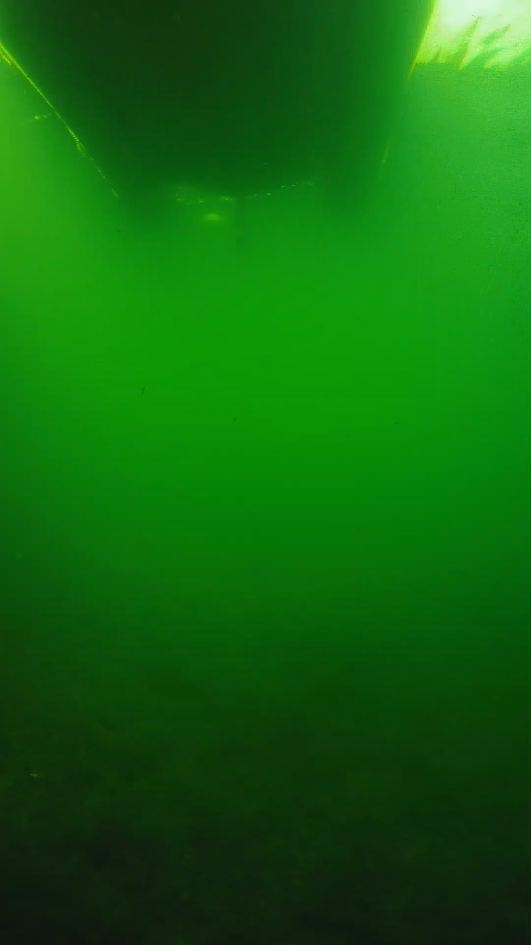 lander_ipcam_20250604094604.png