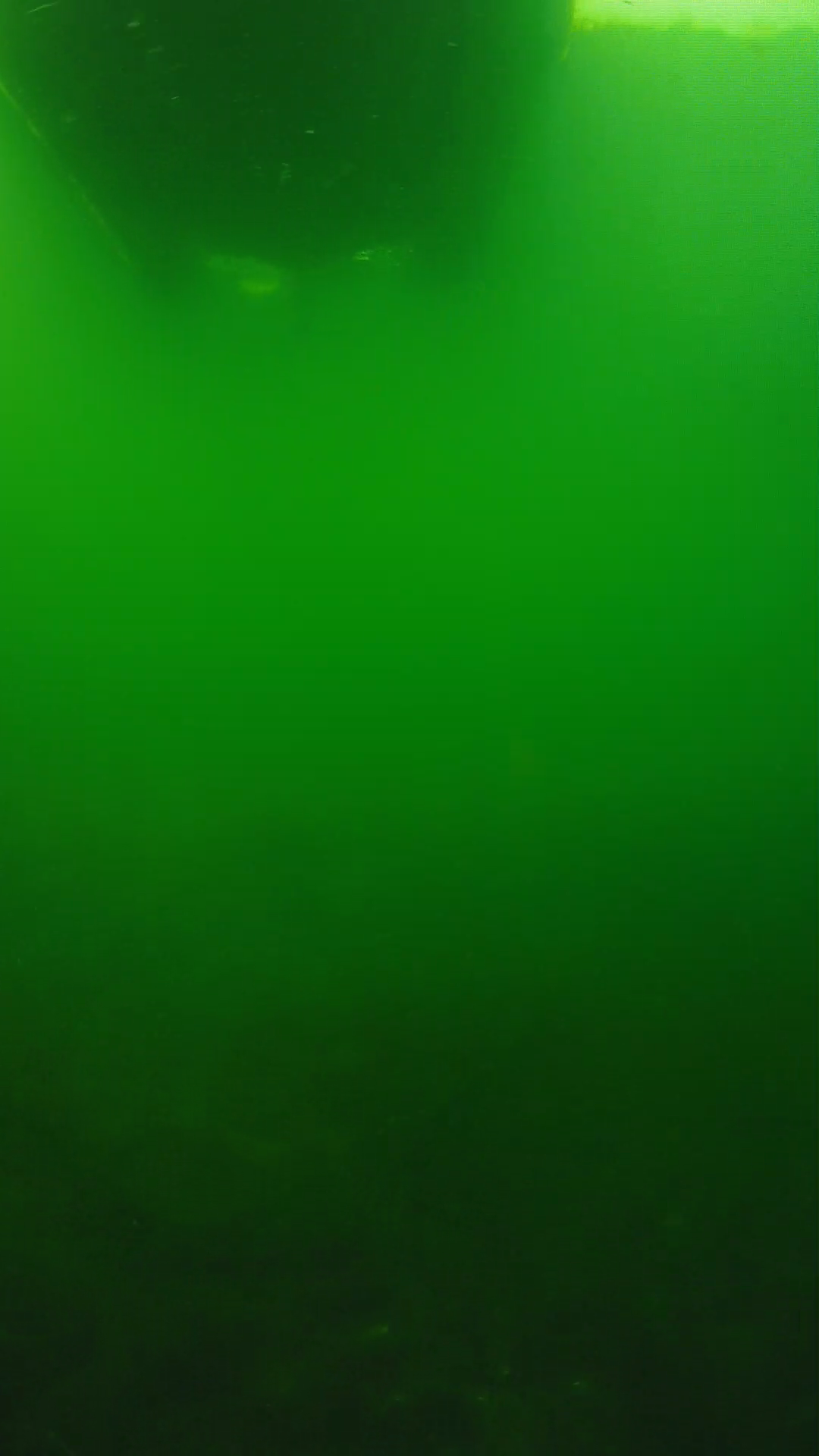 lander_ipcam_20250604094608.png