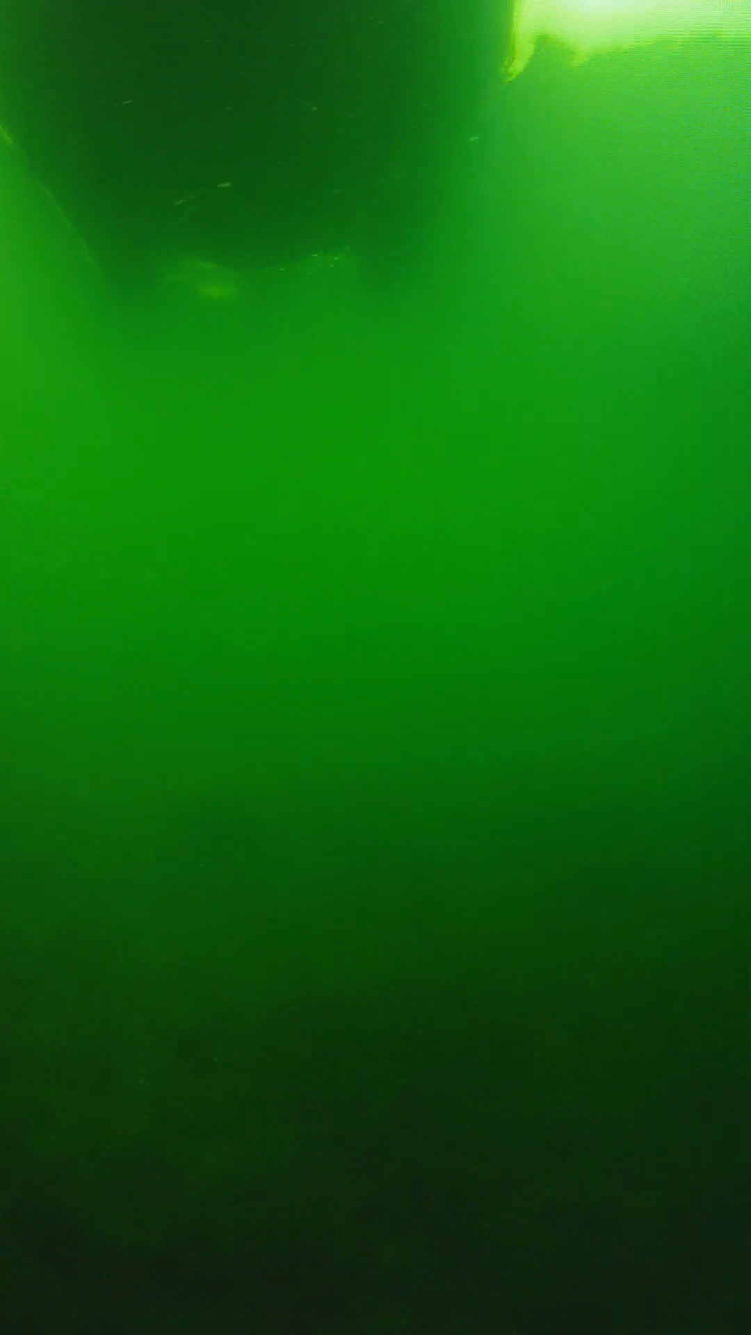 lander_ipcam_20250604094609.png