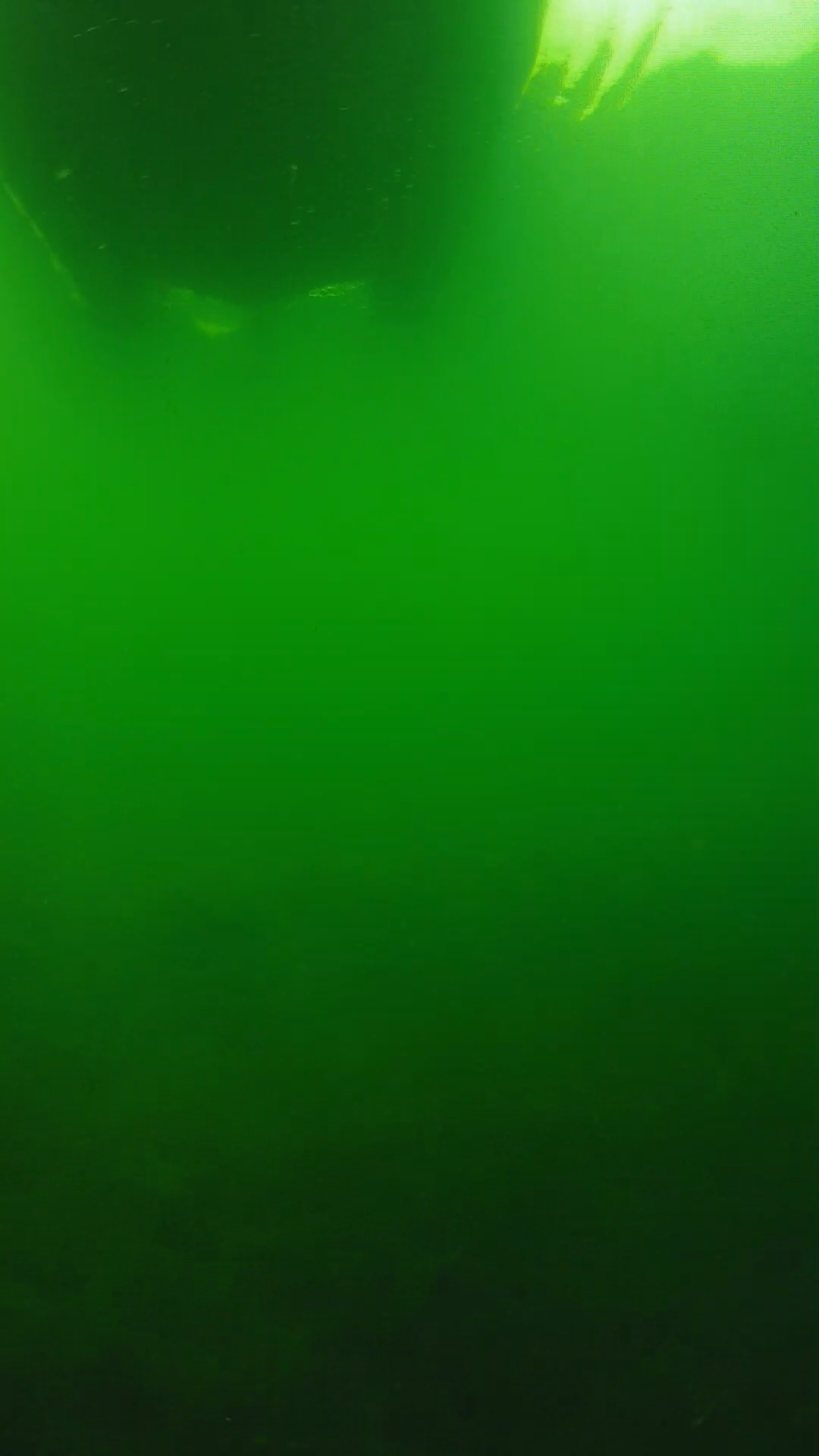 lander_ipcam_20250604094610.png