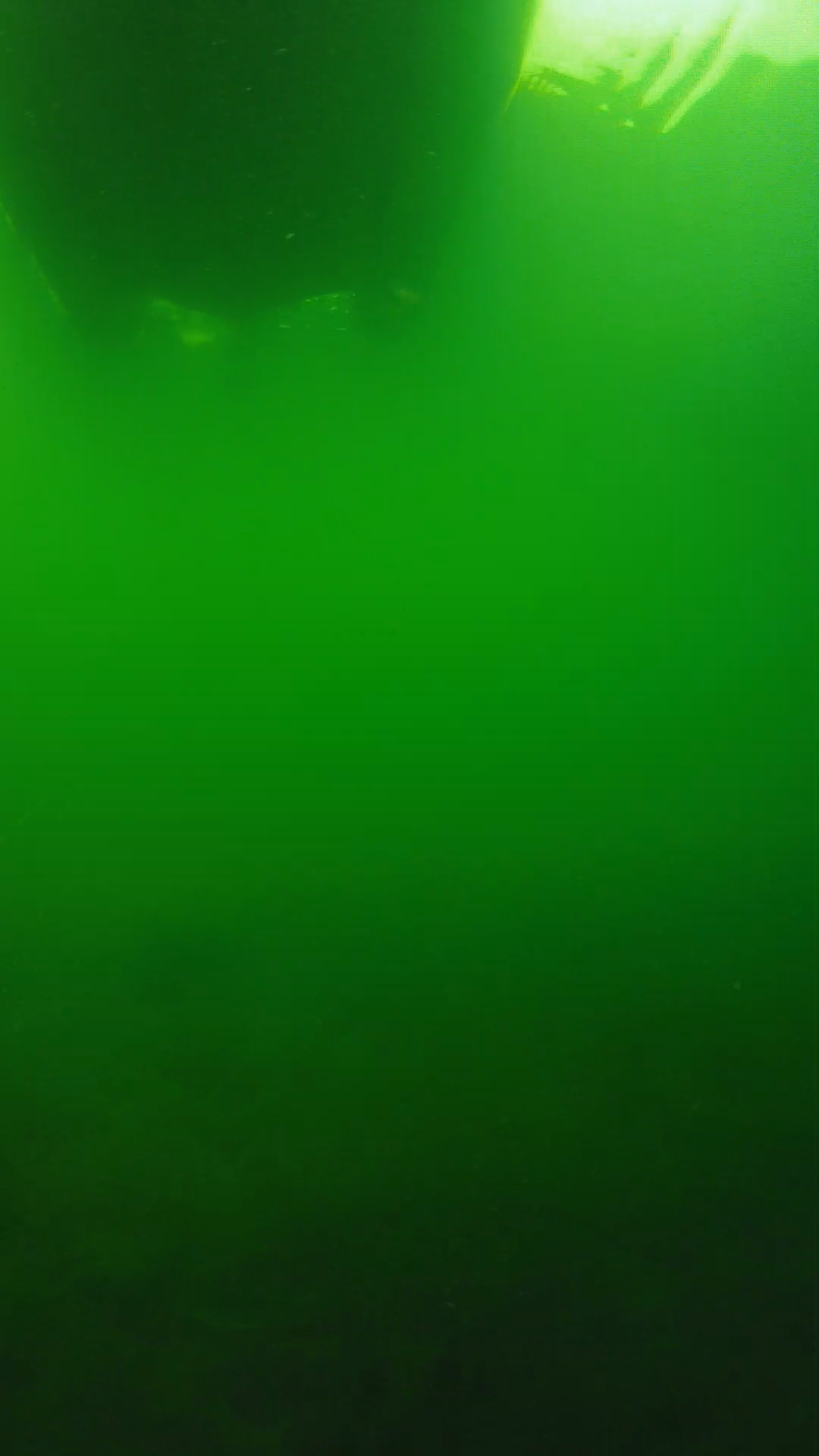 lander_ipcam_20250604094611.png