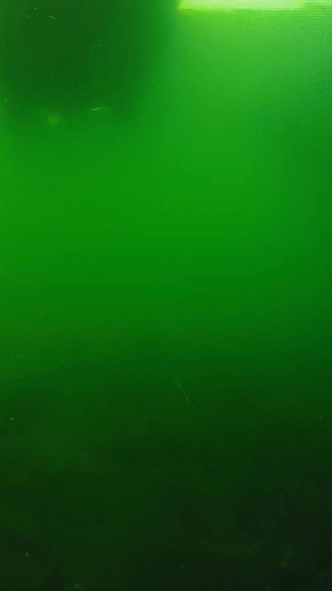 lander_ipcam_20250604094615.png
