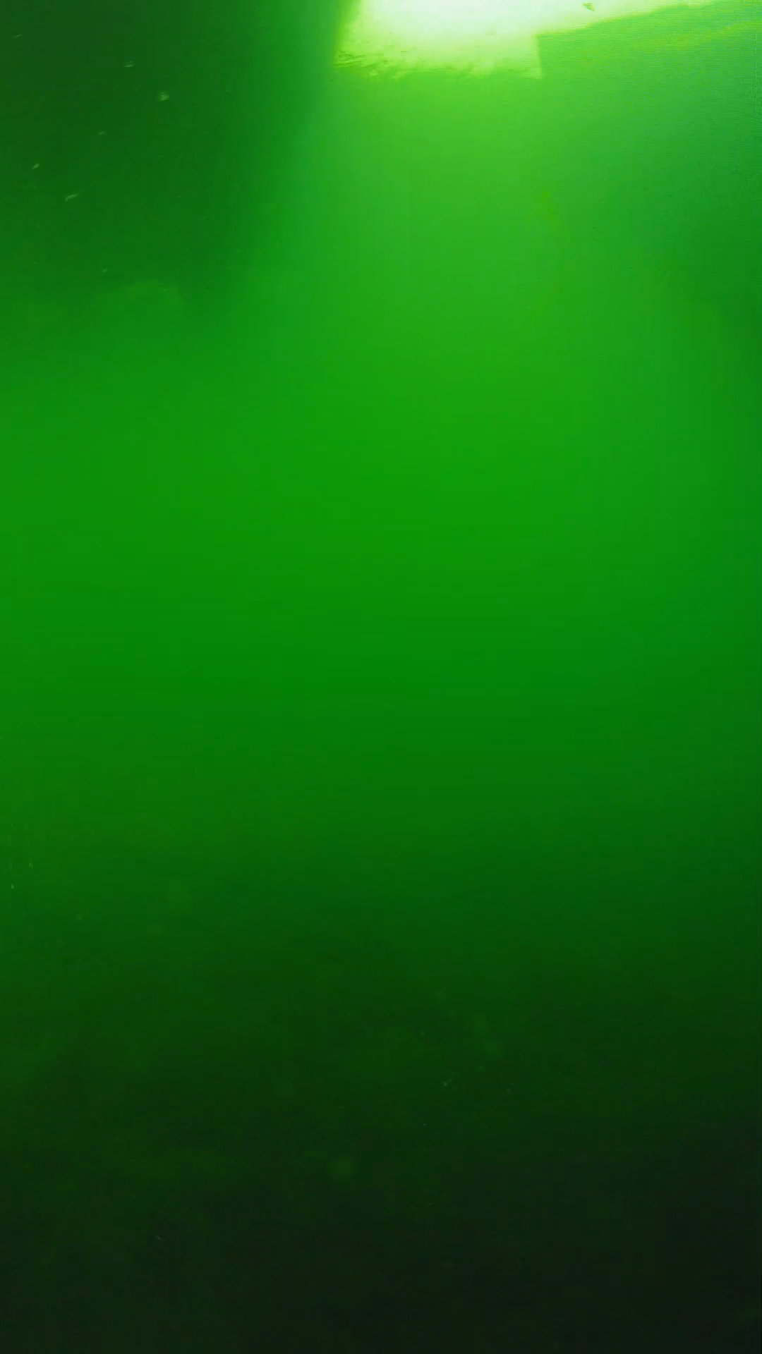 lander_ipcam_20250604094620.png