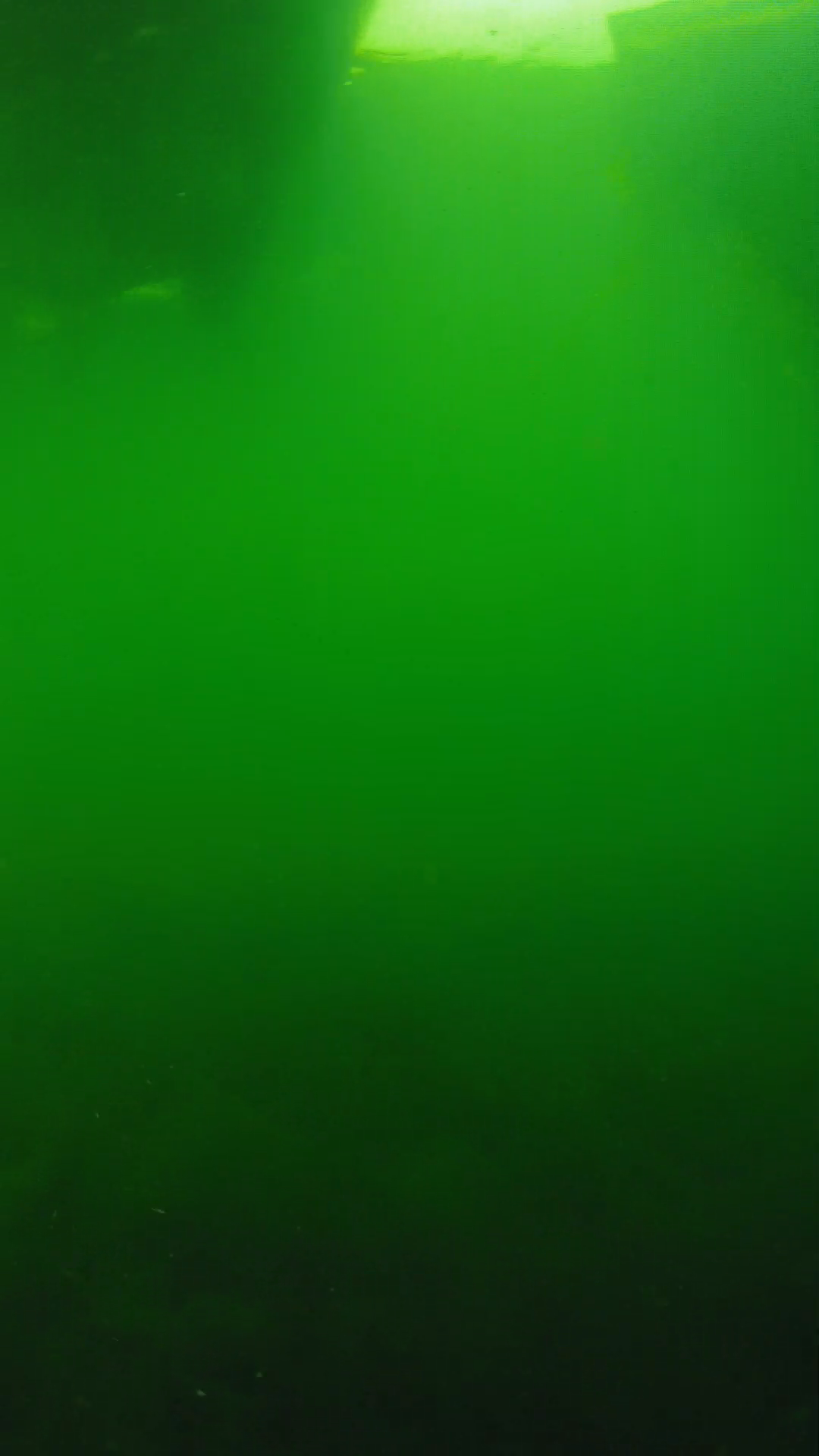 lander_ipcam_20250604094621.png