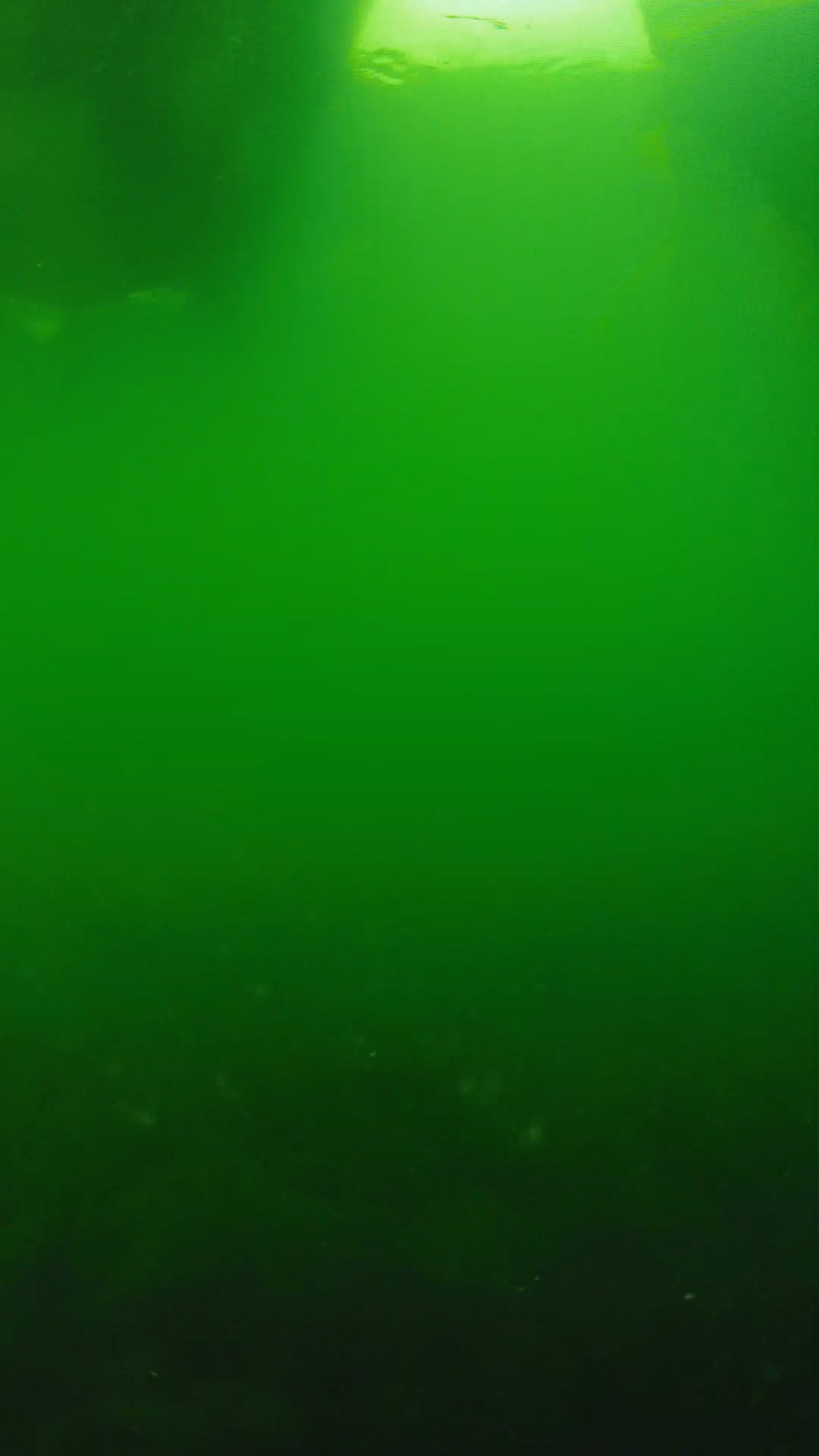 lander_ipcam_20250604094622.png