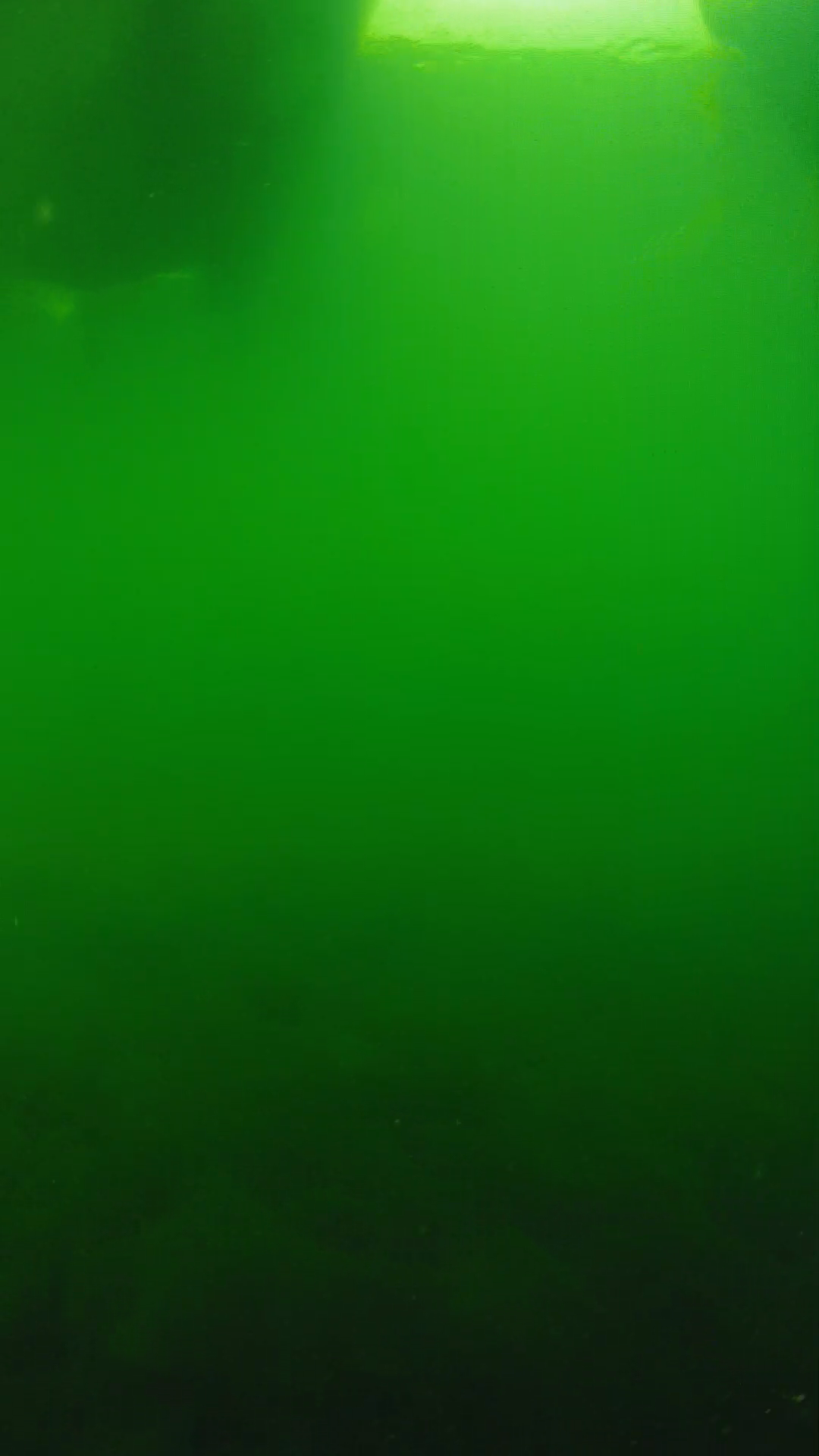 lander_ipcam_20250604094623.png
