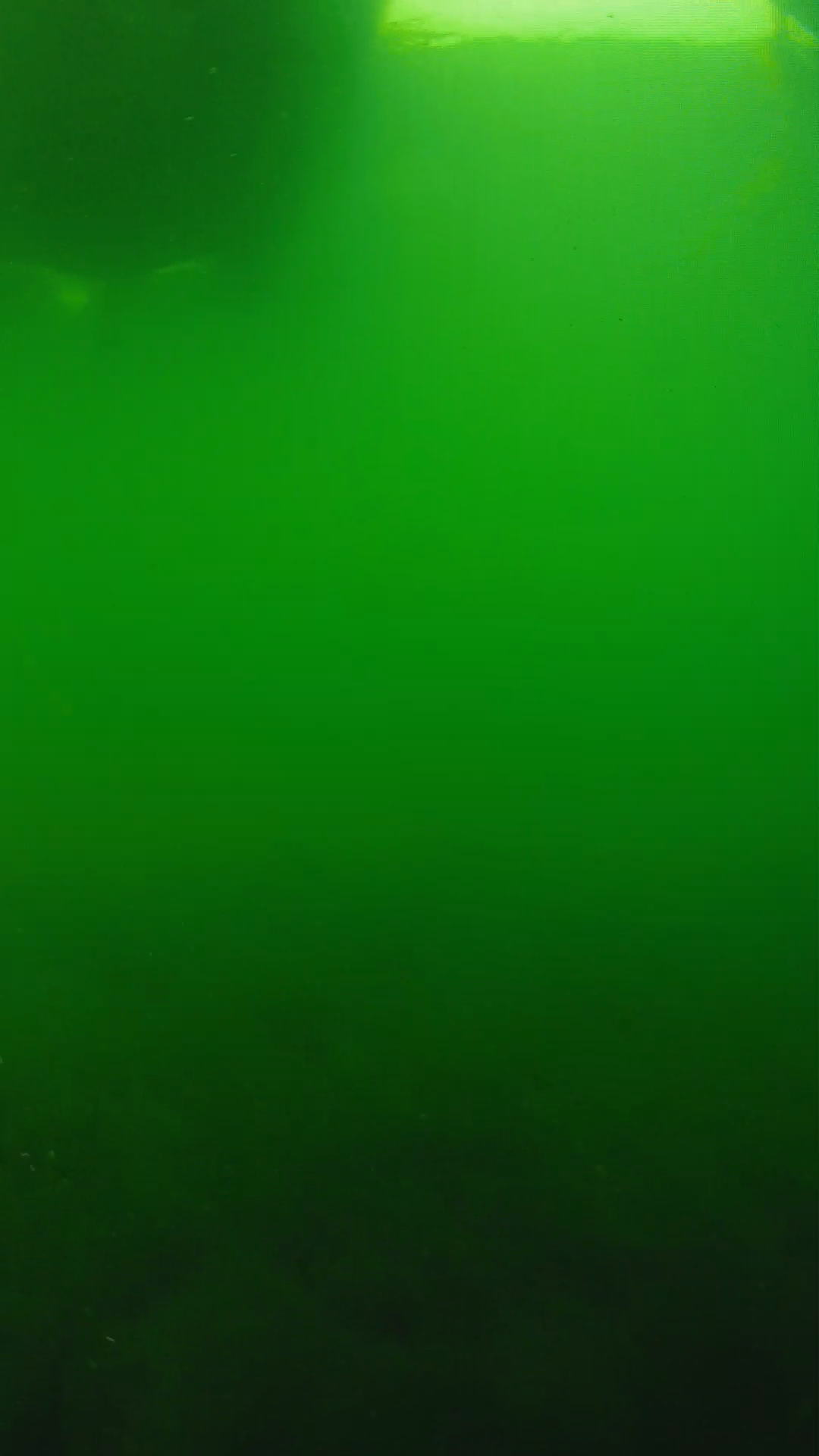 lander_ipcam_20250604094624.png