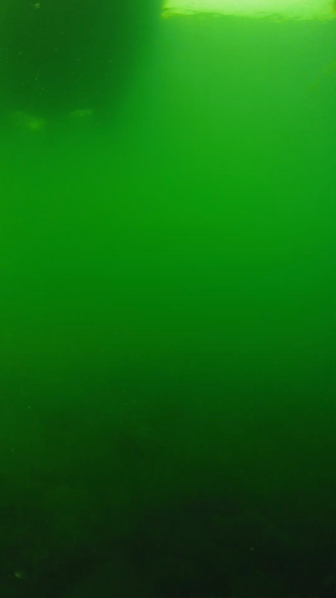 lander_ipcam_20250604094625.png
