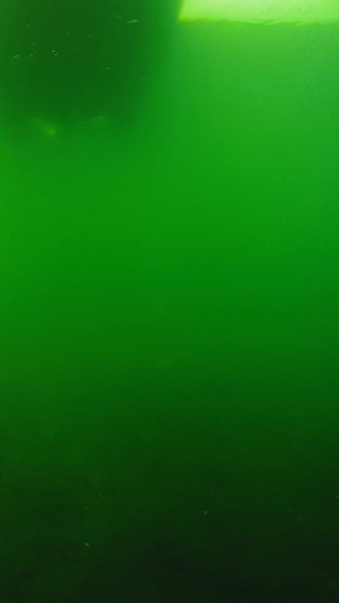 lander_ipcam_20250604094628.png
