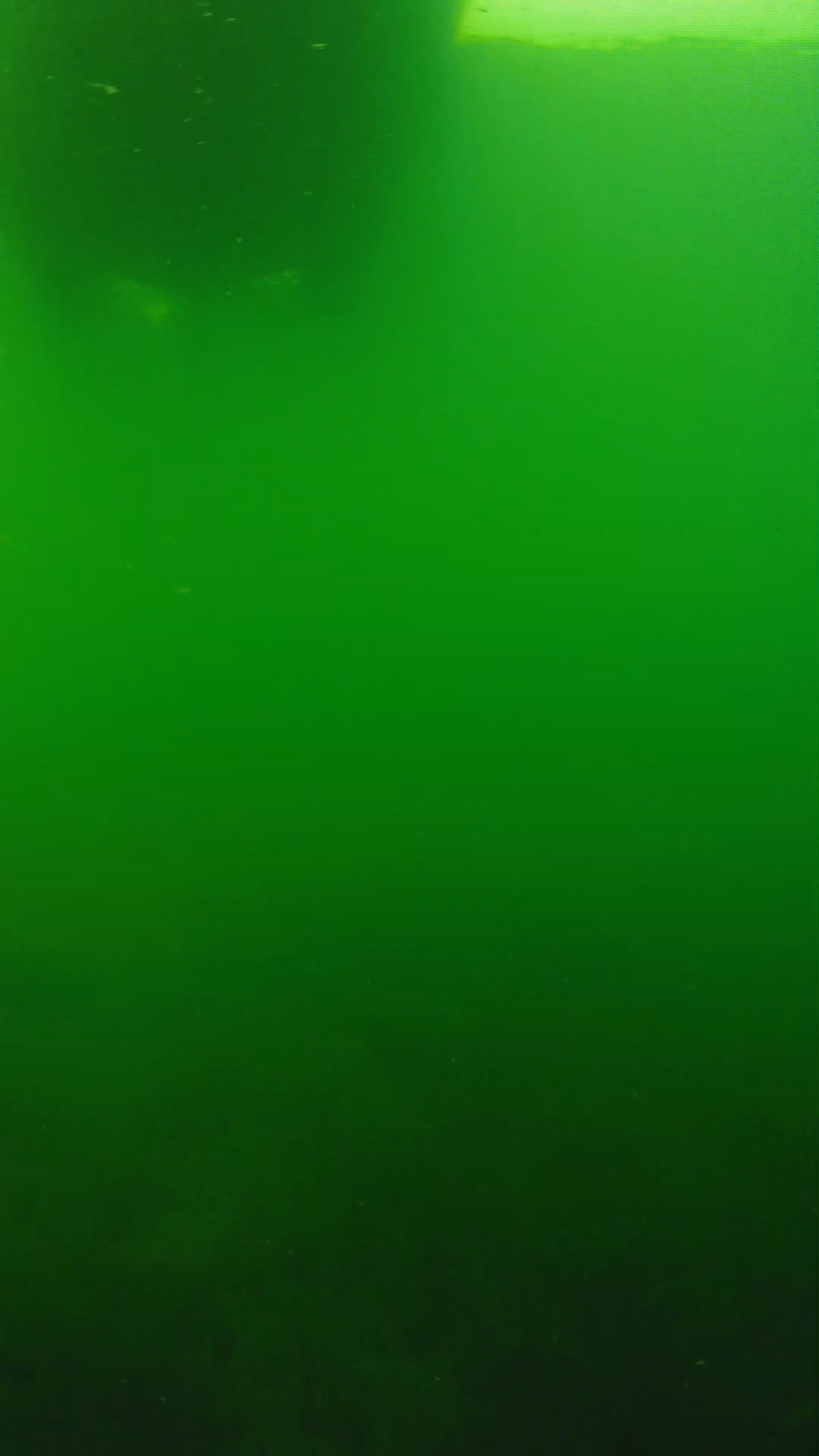lander_ipcam_20250604094630.png