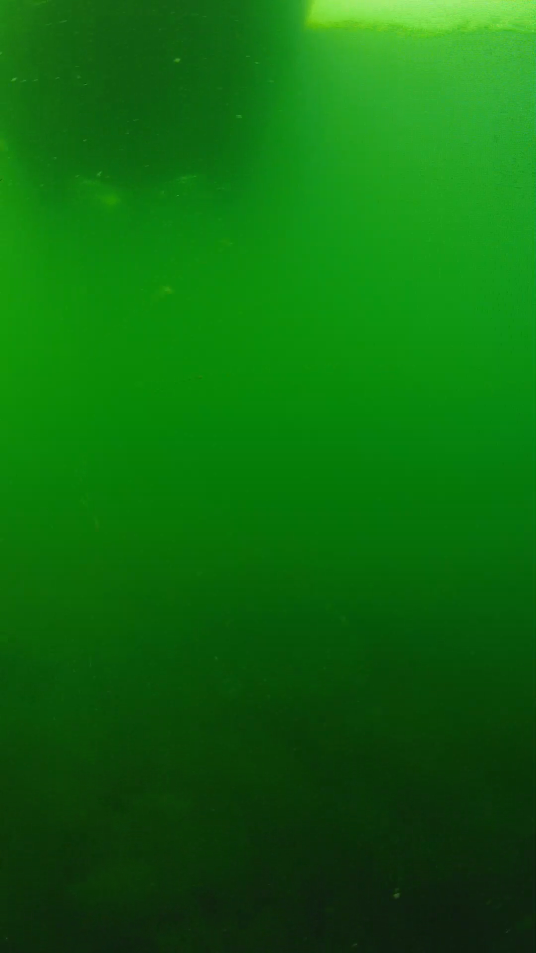 lander_ipcam_20250604094631.png
