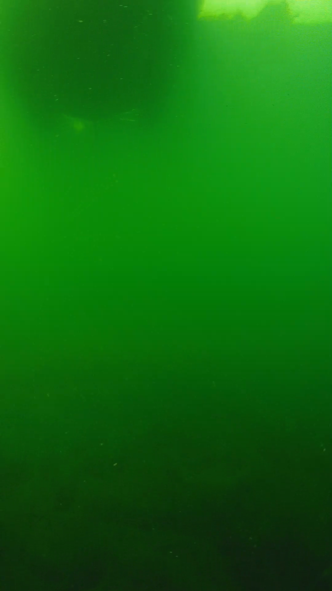 lander_ipcam_20250604094633.png