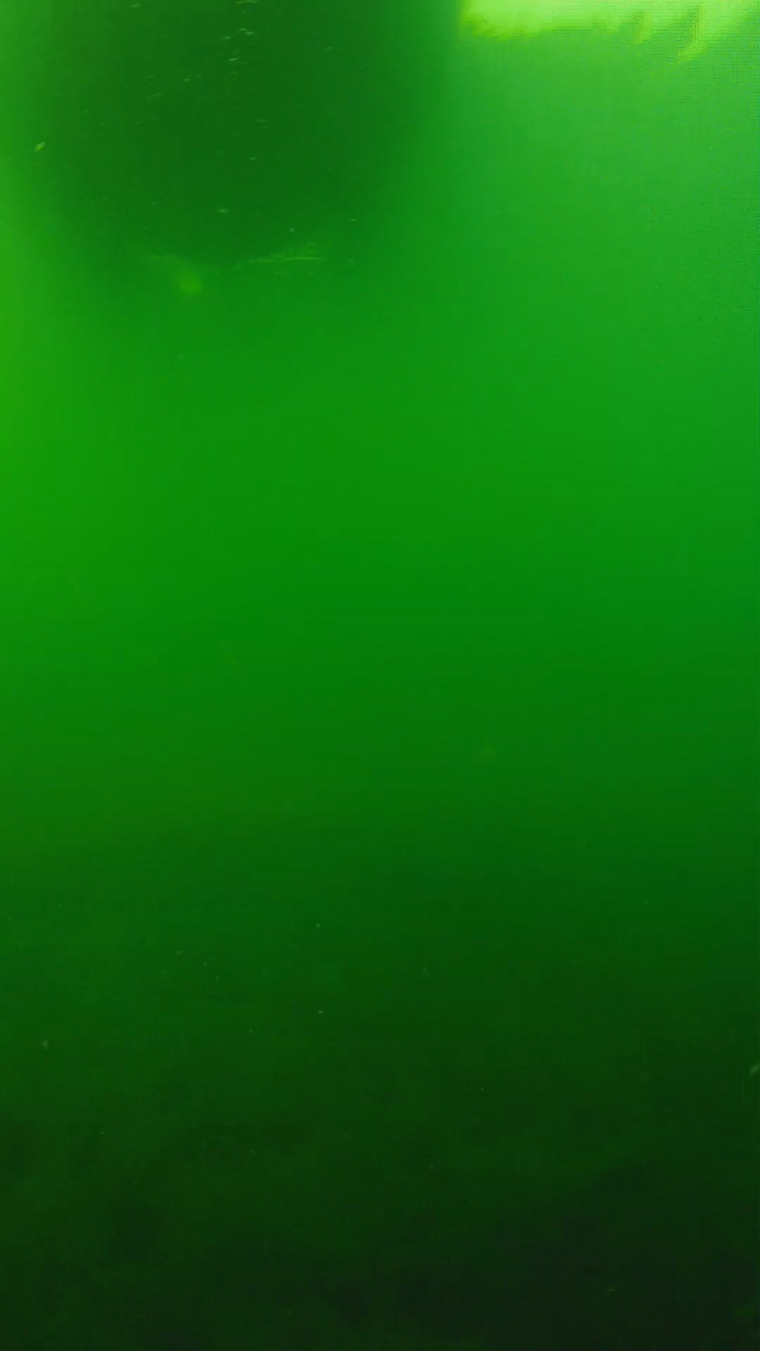 lander_ipcam_20250604094634.png