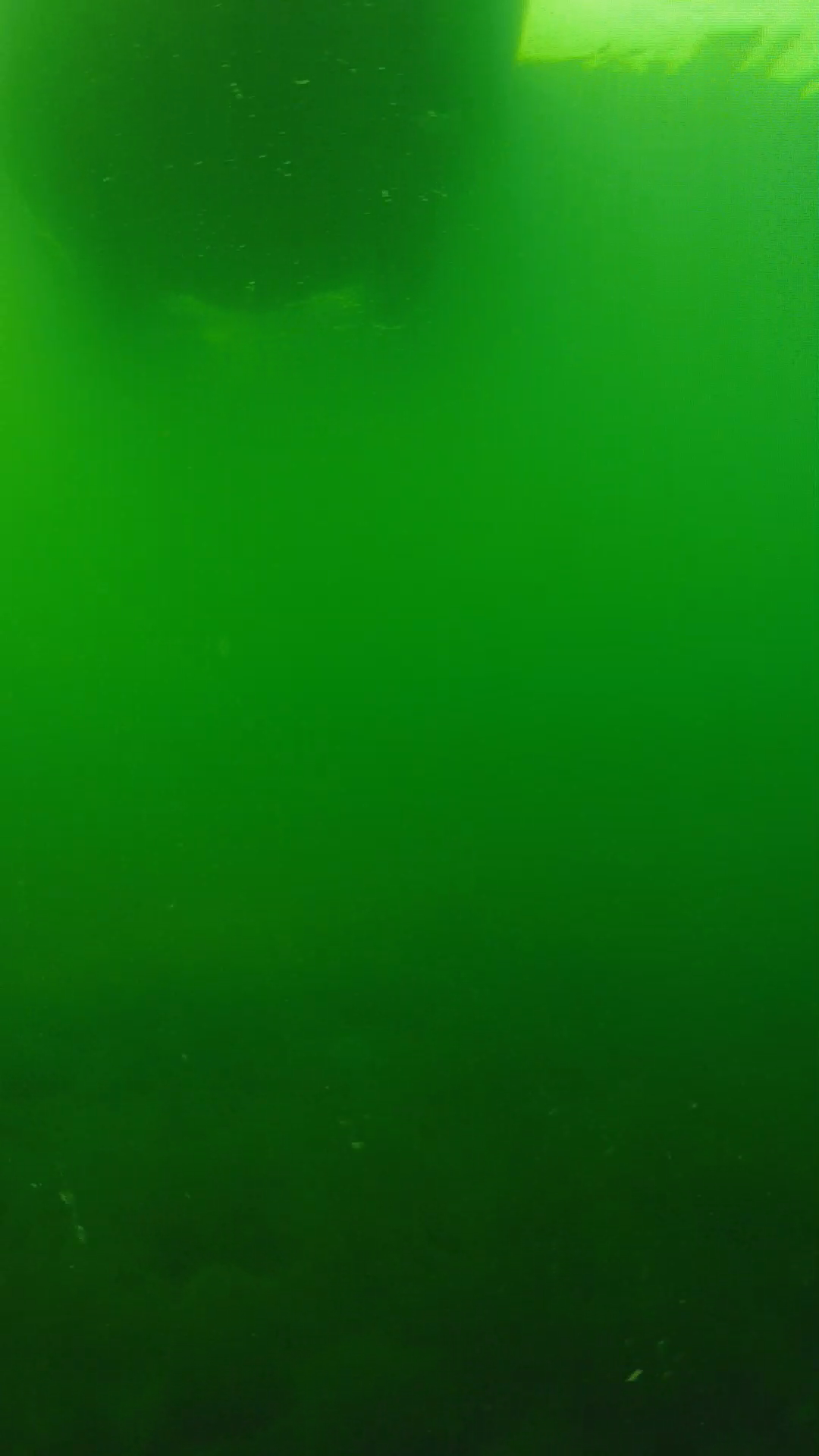 lander_ipcam_20250604094636.png