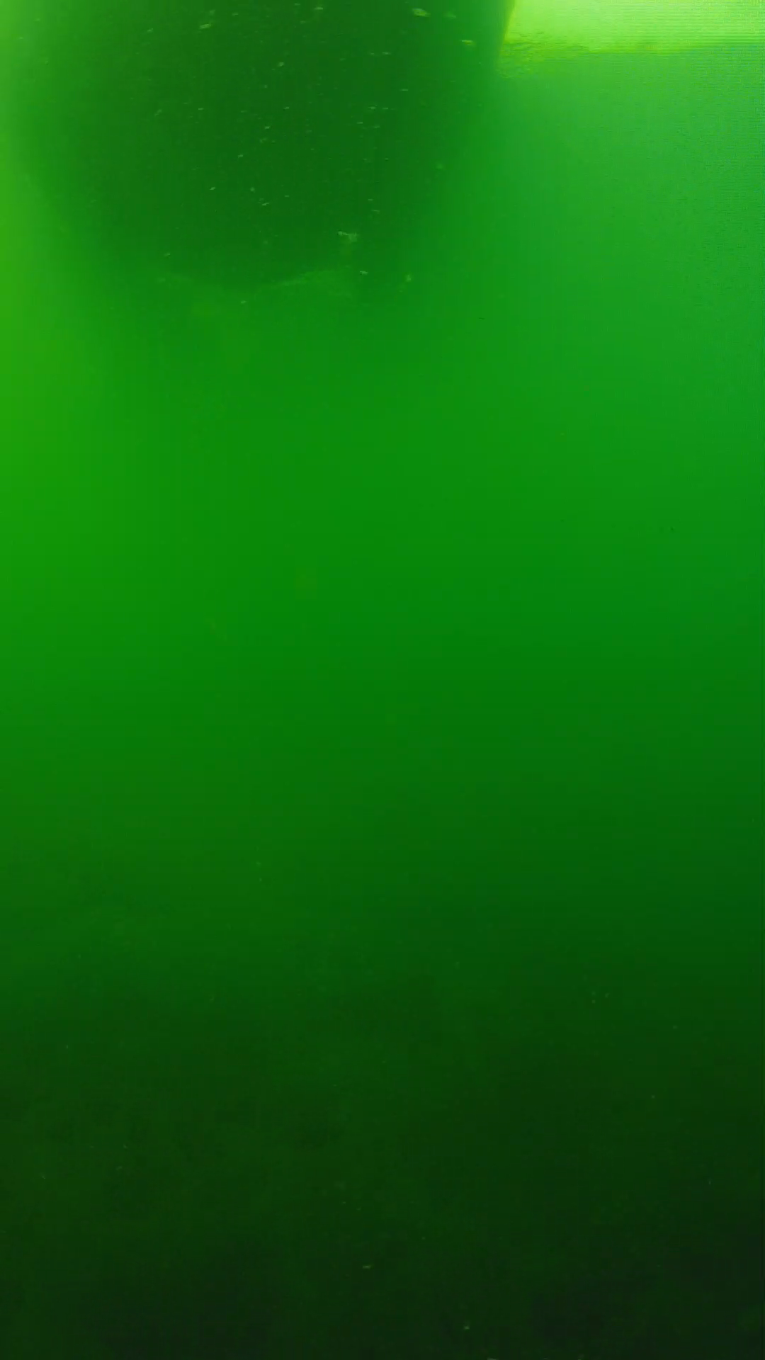 lander_ipcam_20250604094638.png