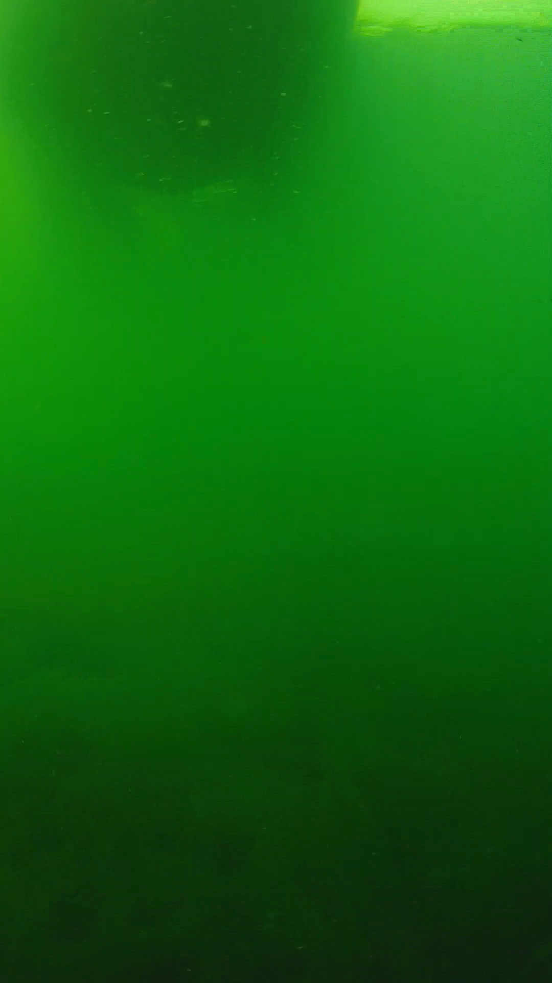 lander_ipcam_20250604094639.png