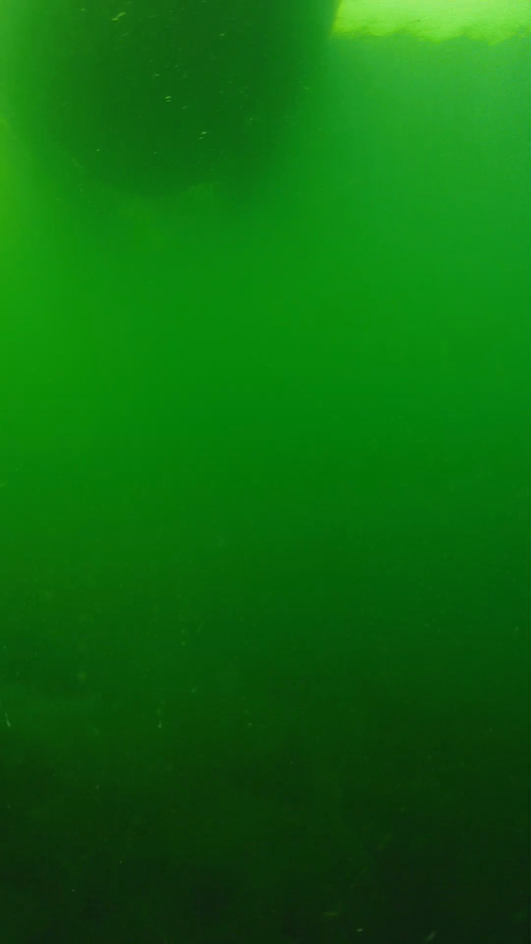 lander_ipcam_20250604094640.png