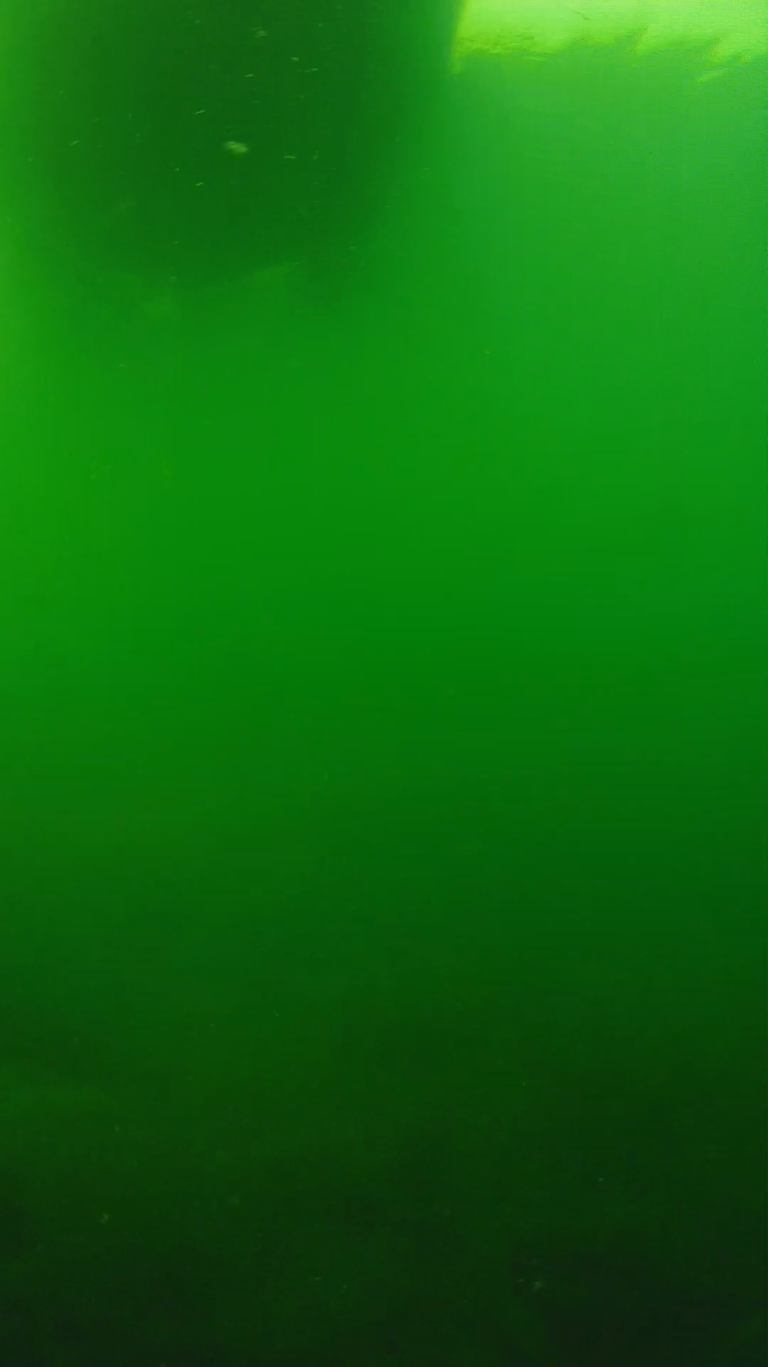 lander_ipcam_20250604094641.png