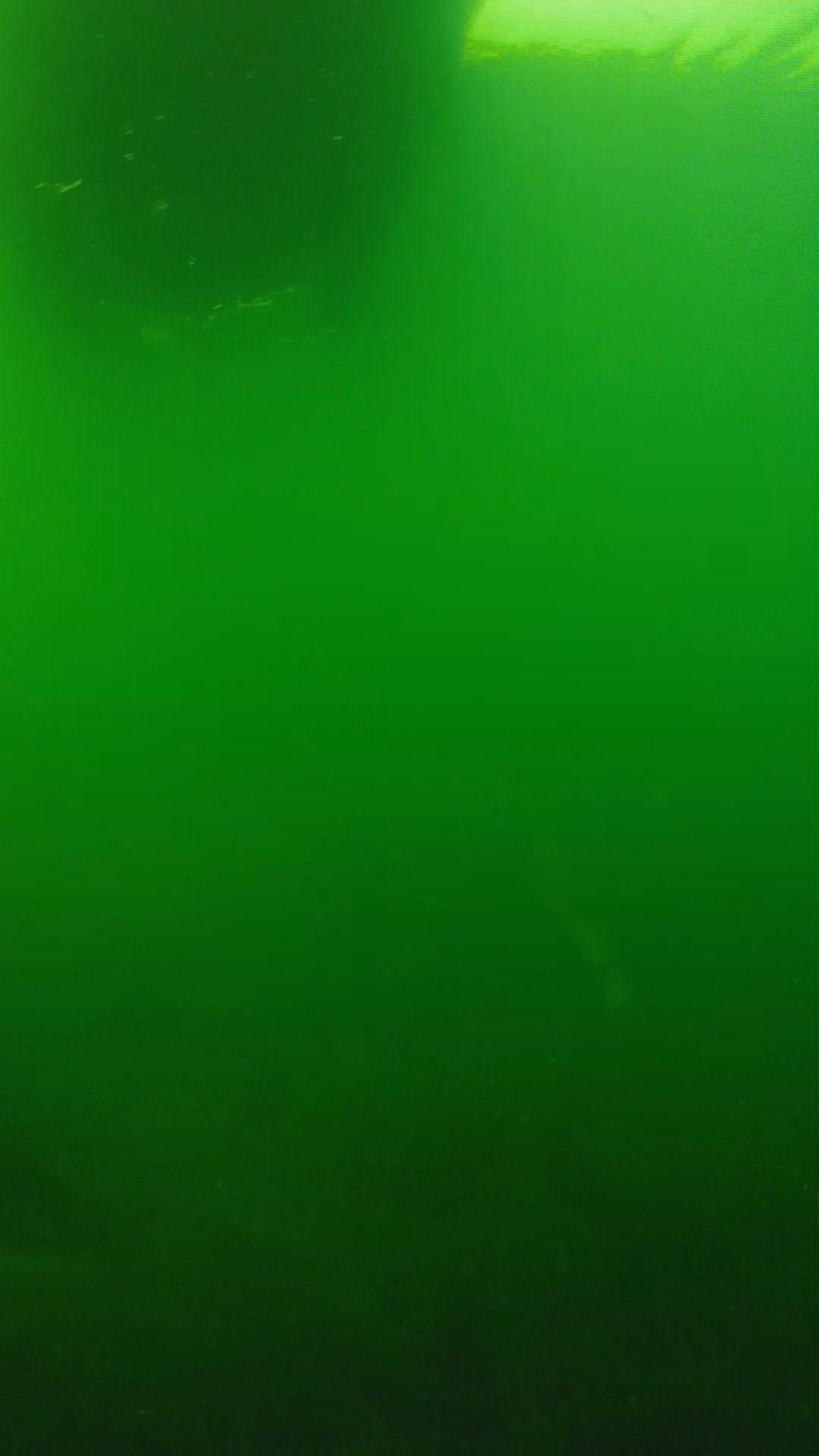 lander_ipcam_20250604094642.png