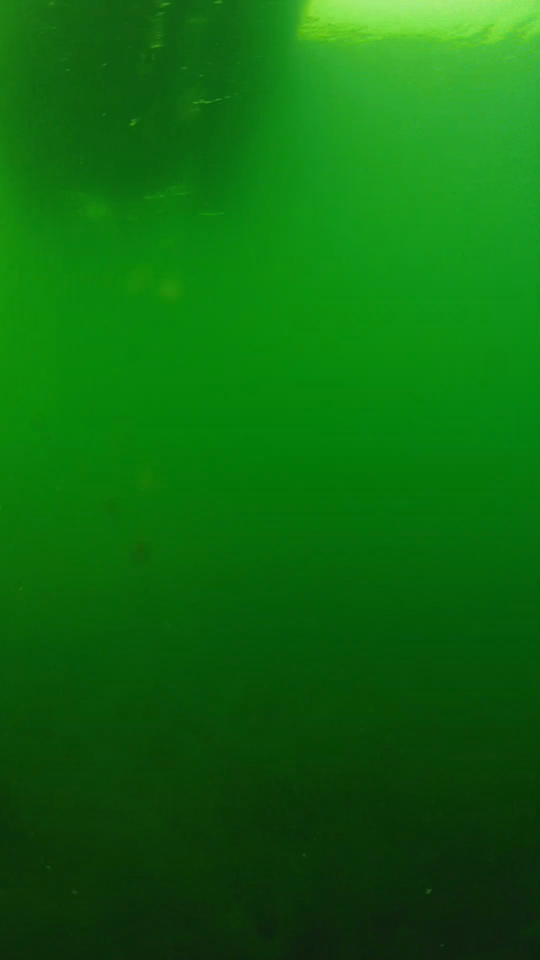lander_ipcam_20250604094643.png