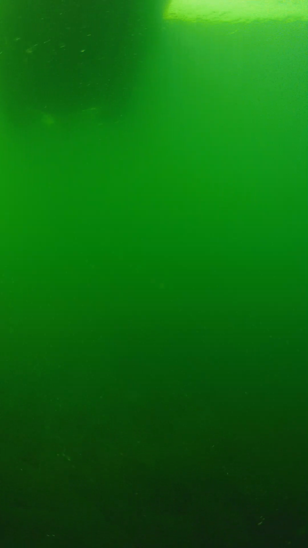 lander_ipcam_20250604094644.png