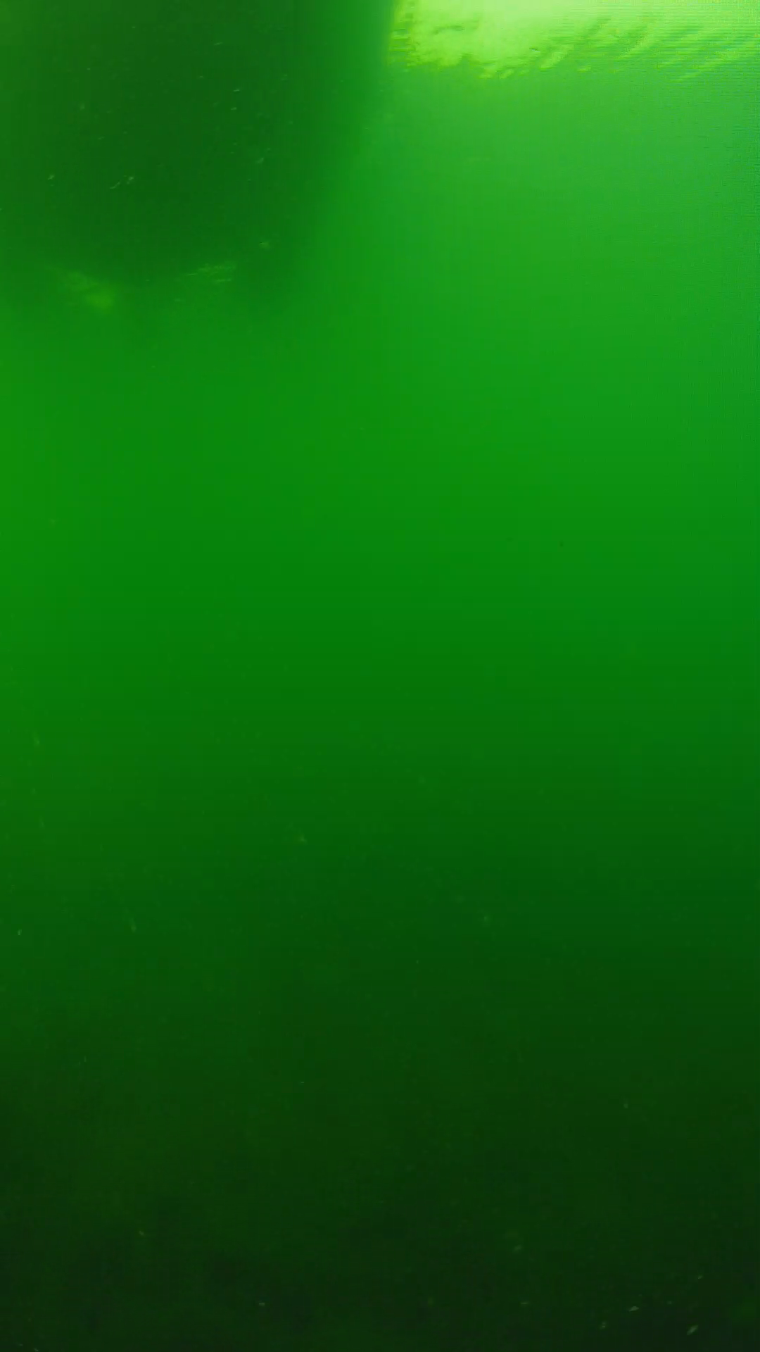 lander_ipcam_20250604094647.png