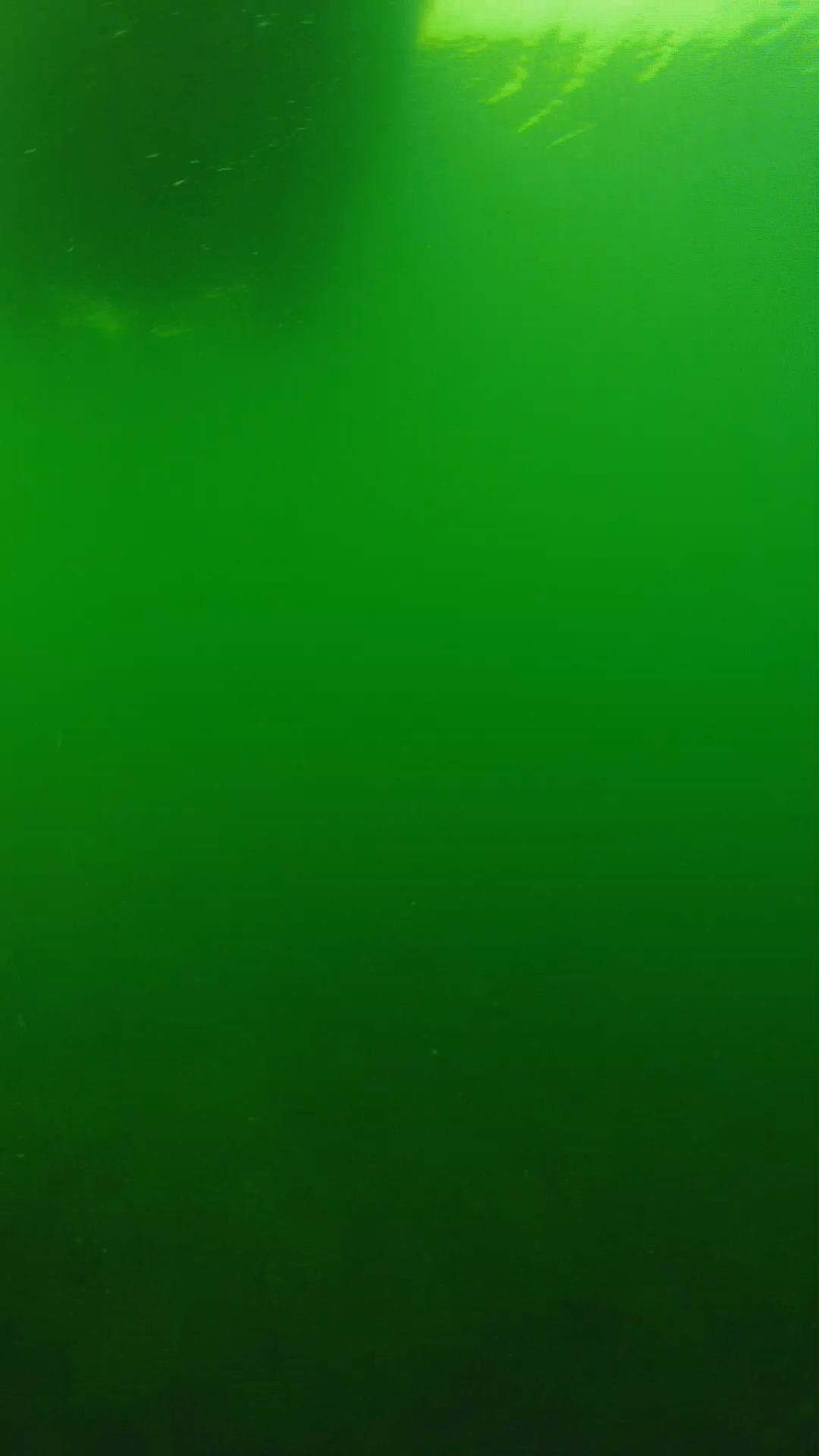 lander_ipcam_20250604094648.png