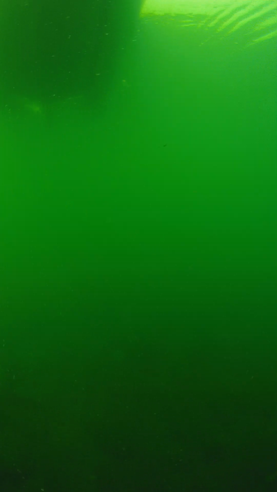 lander_ipcam_20250604094651.png
