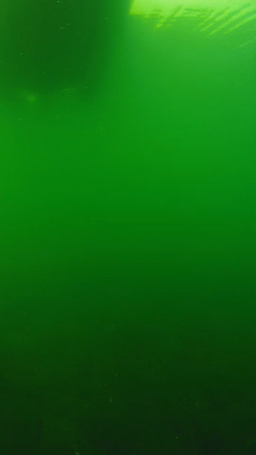 lander_ipcam_20250604094652.png