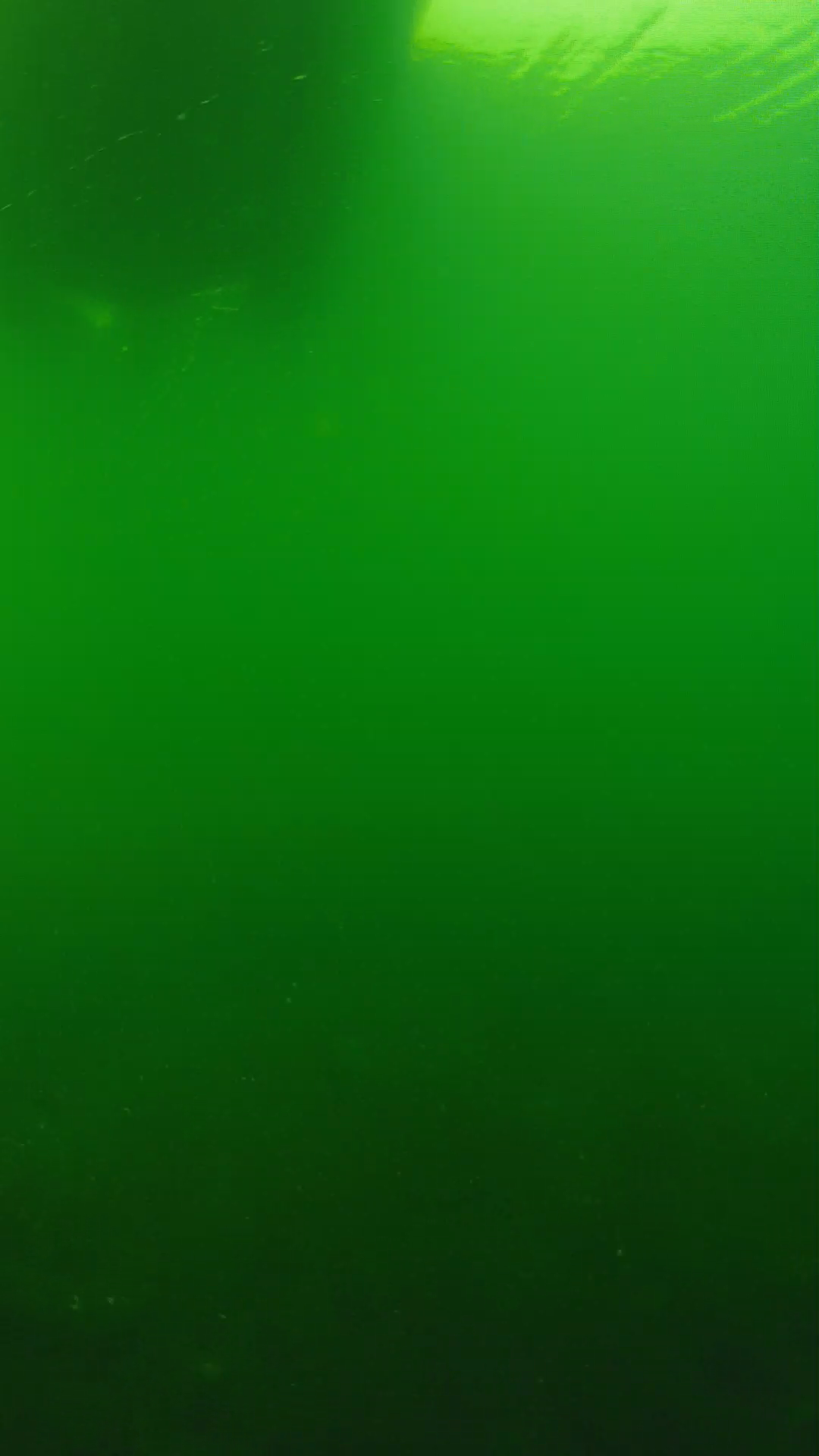 lander_ipcam_20250604094653.png