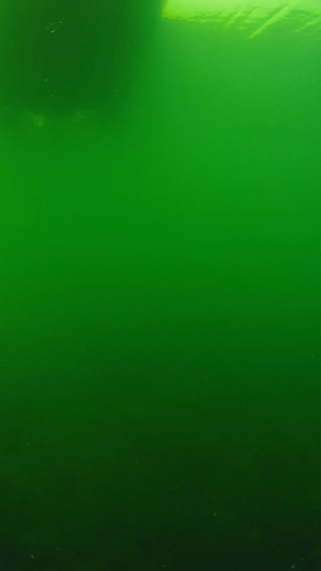 lander_ipcam_20250604094654.png