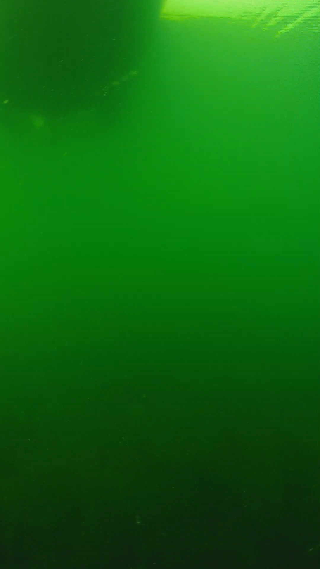 lander_ipcam_20250604094655.png