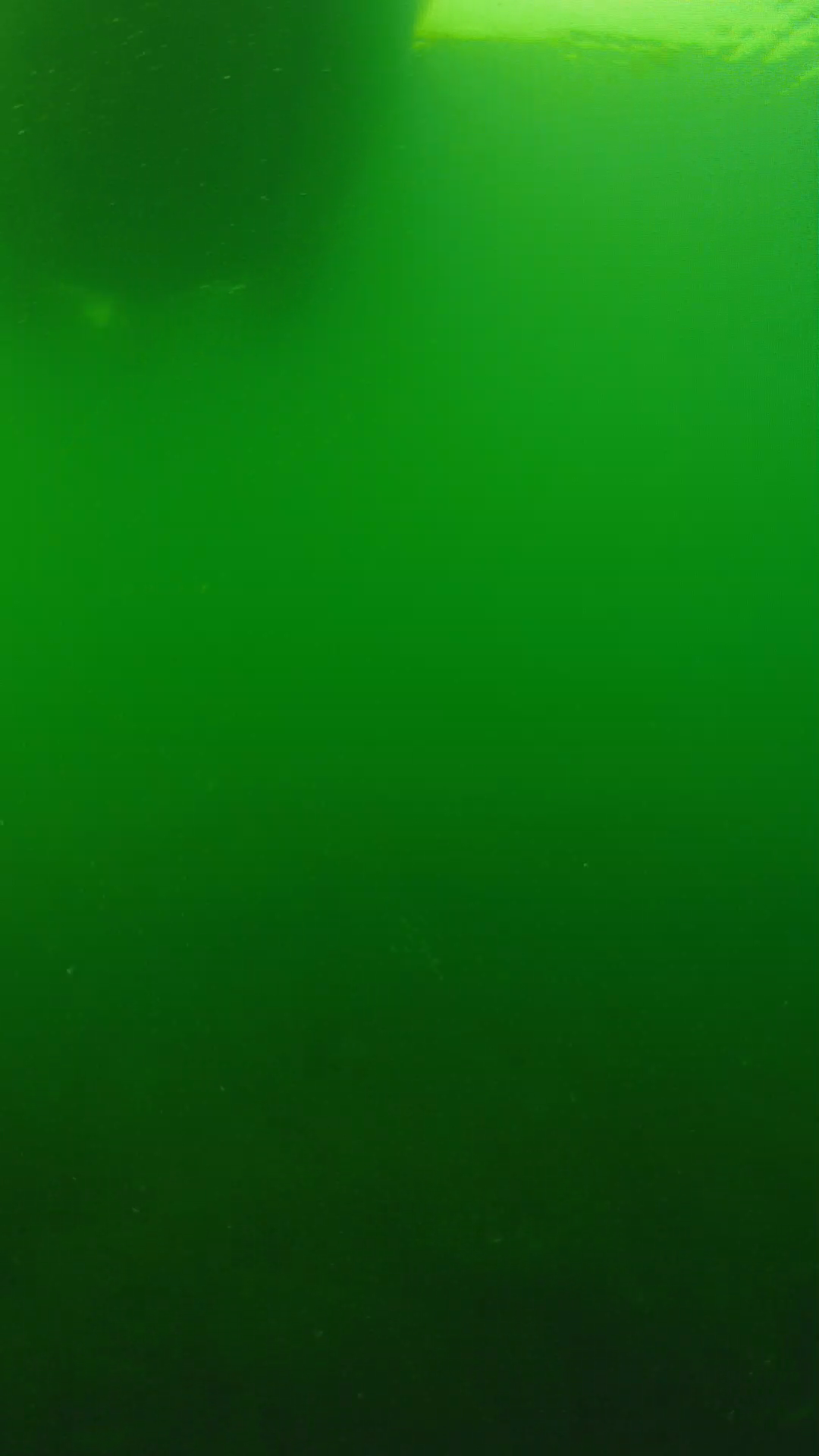 lander_ipcam_20250604094656.png