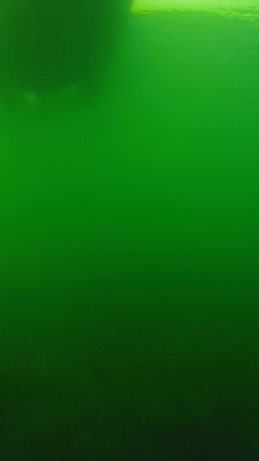 lander_ipcam_20250604094657.png