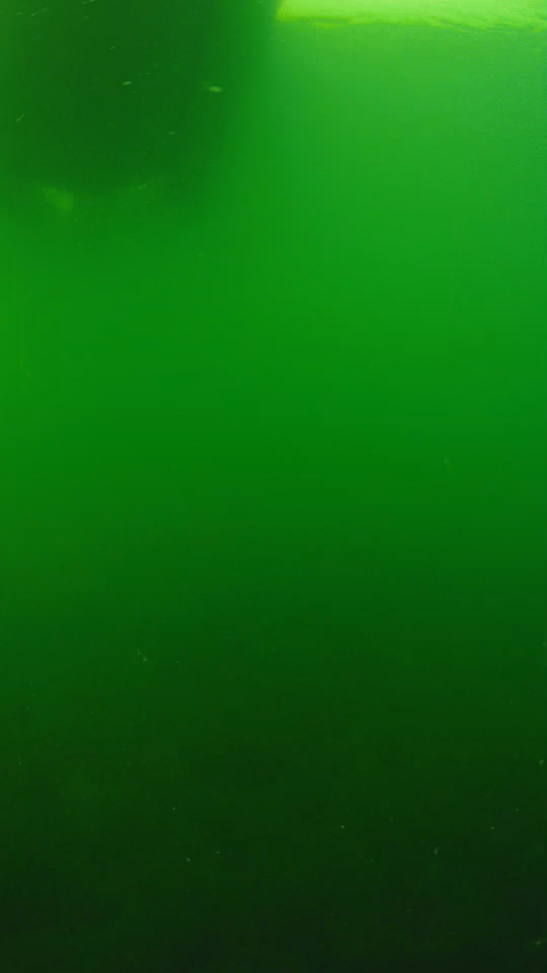 lander_ipcam_20250604094658.png