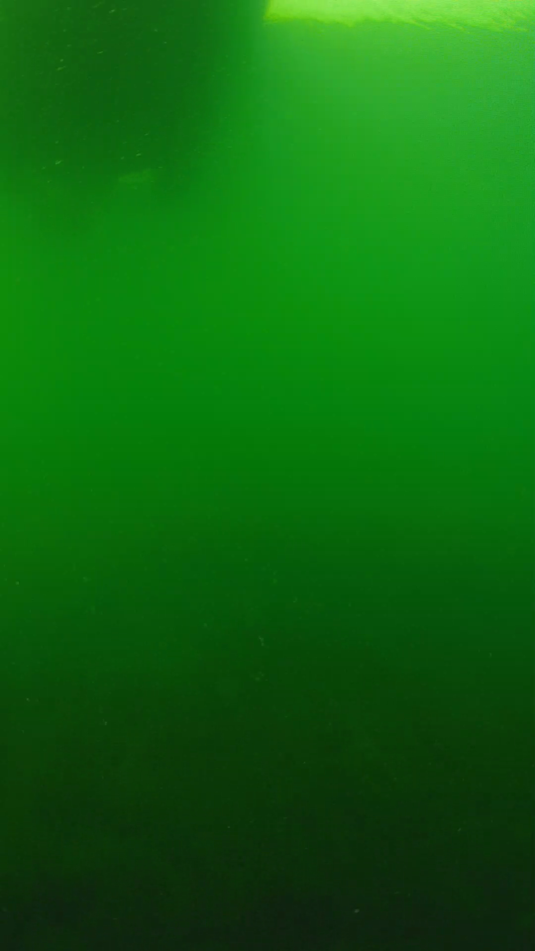 lander_ipcam_20250604094701.png
