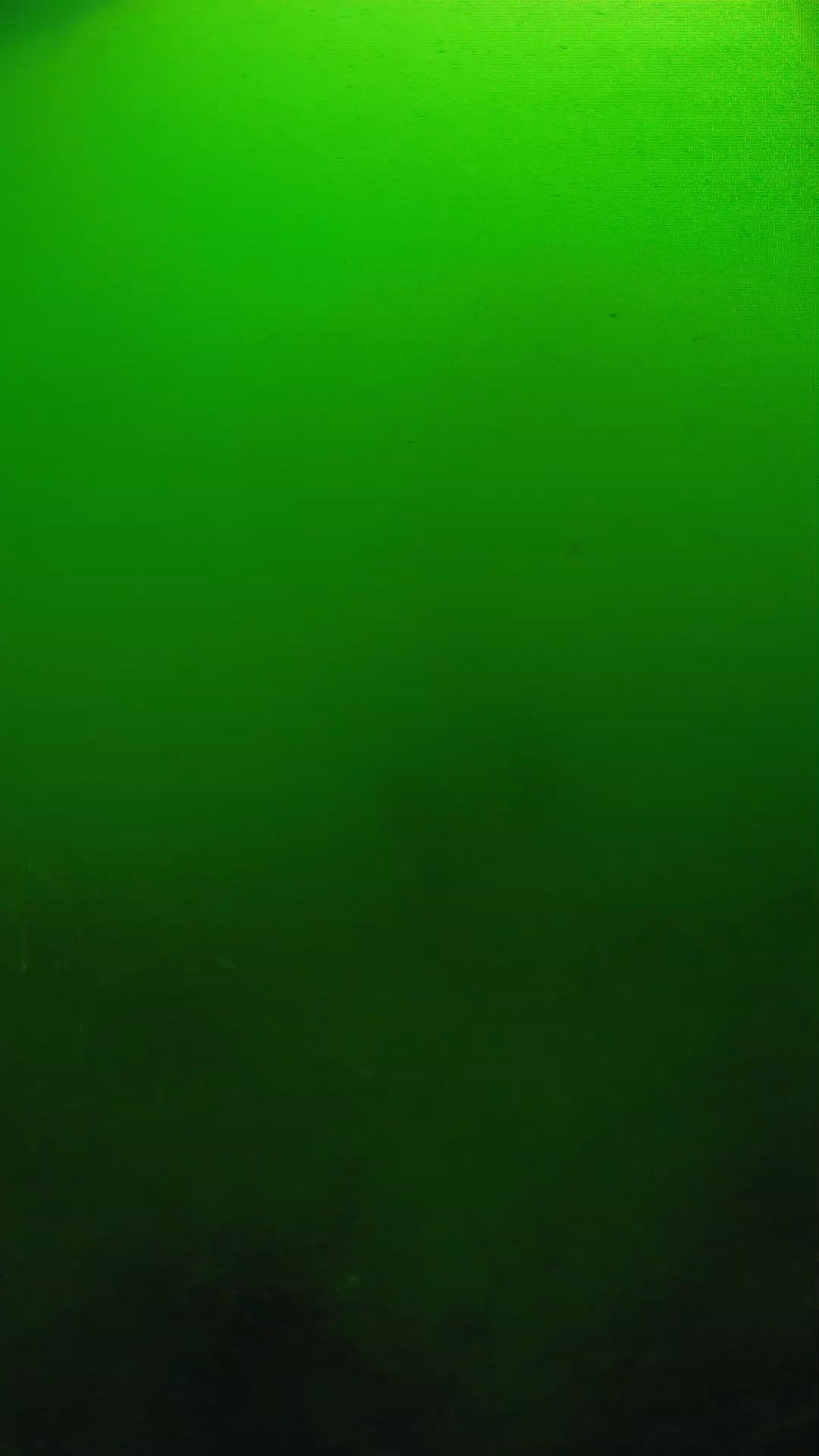 lander_ipcam_20250604100102.png
