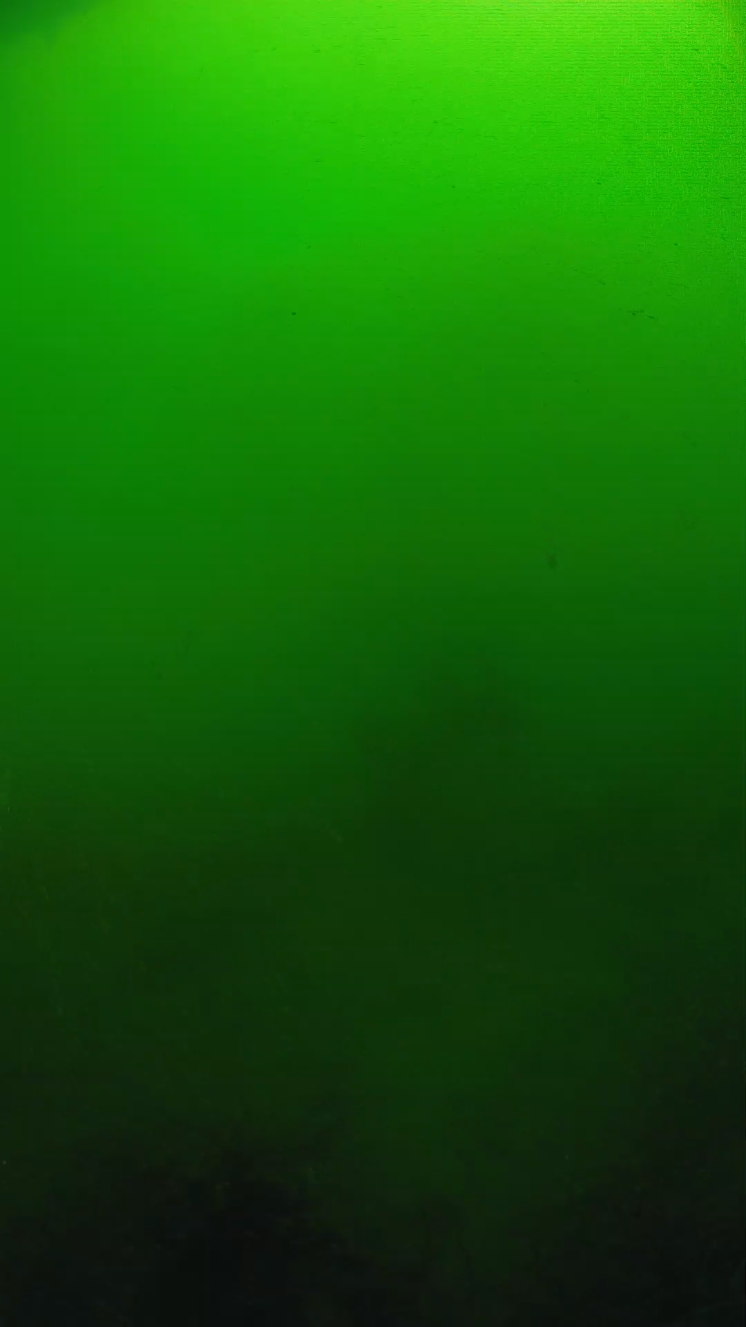 lander_ipcam_20250604100103.png