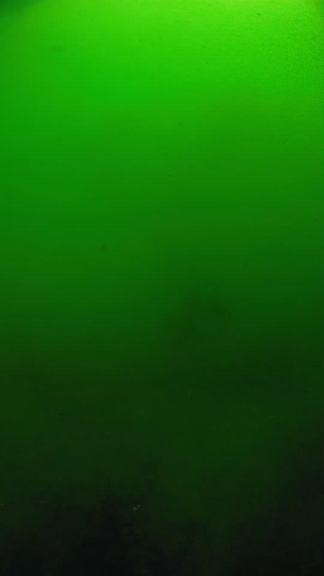 lander_ipcam_20250604100104.png