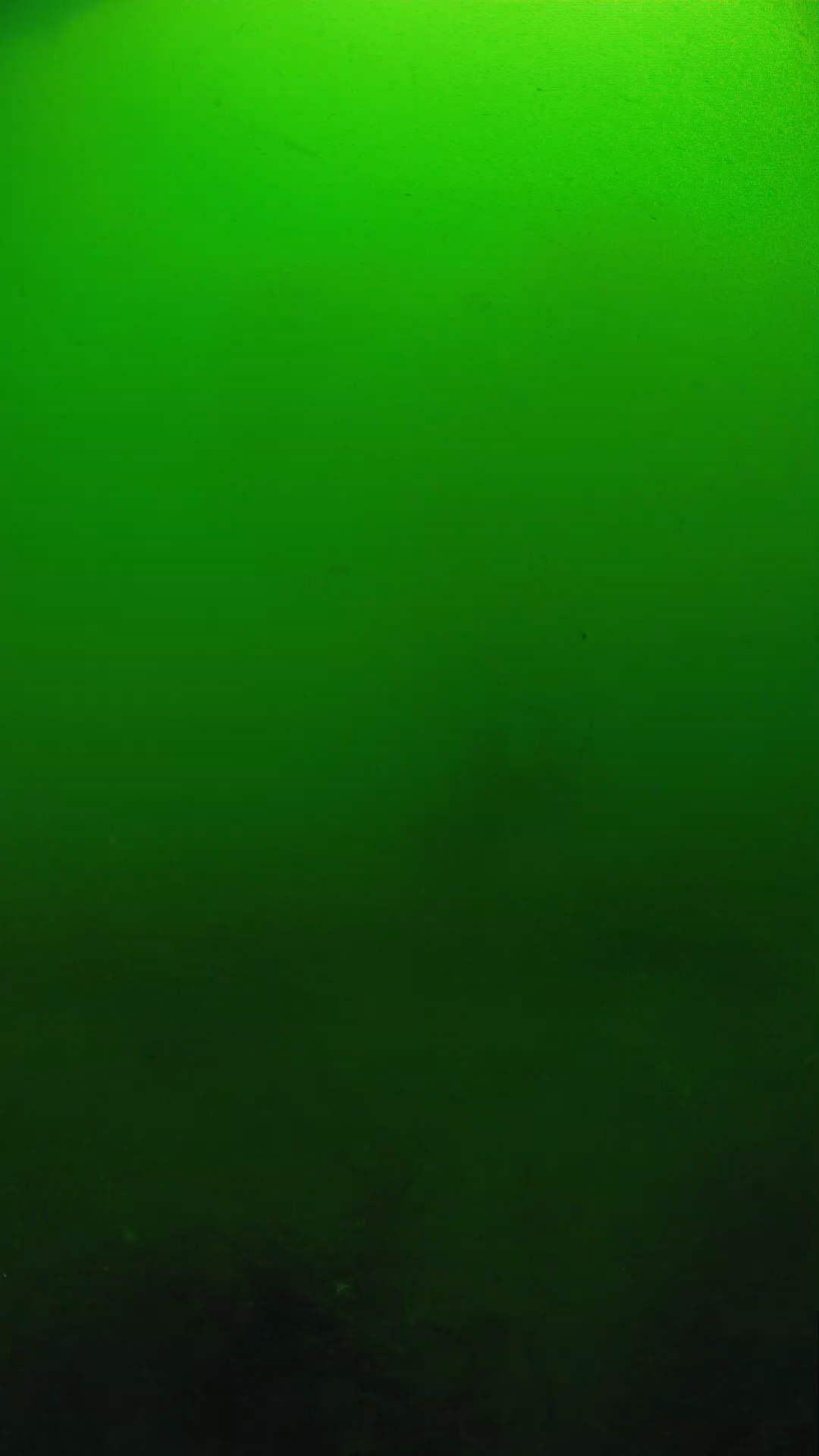 lander_ipcam_20250604100105.png