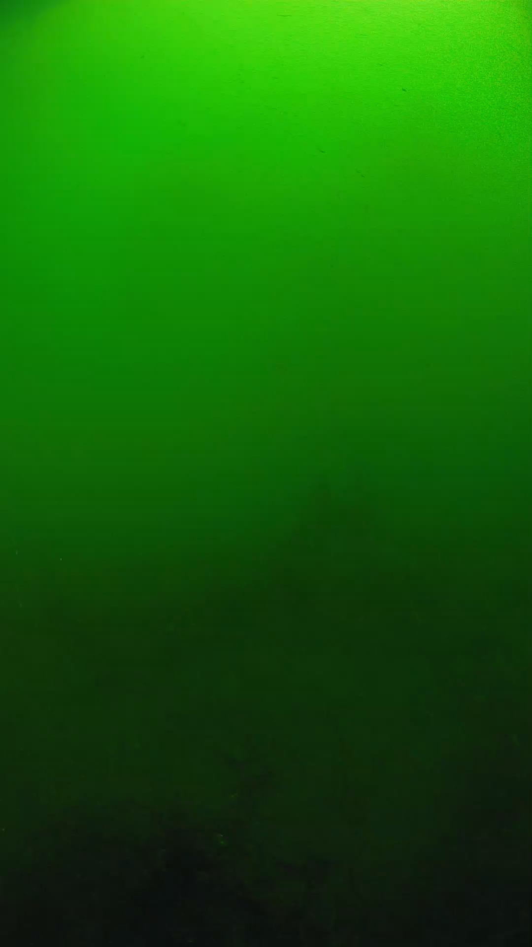 lander_ipcam_20250604100107.png