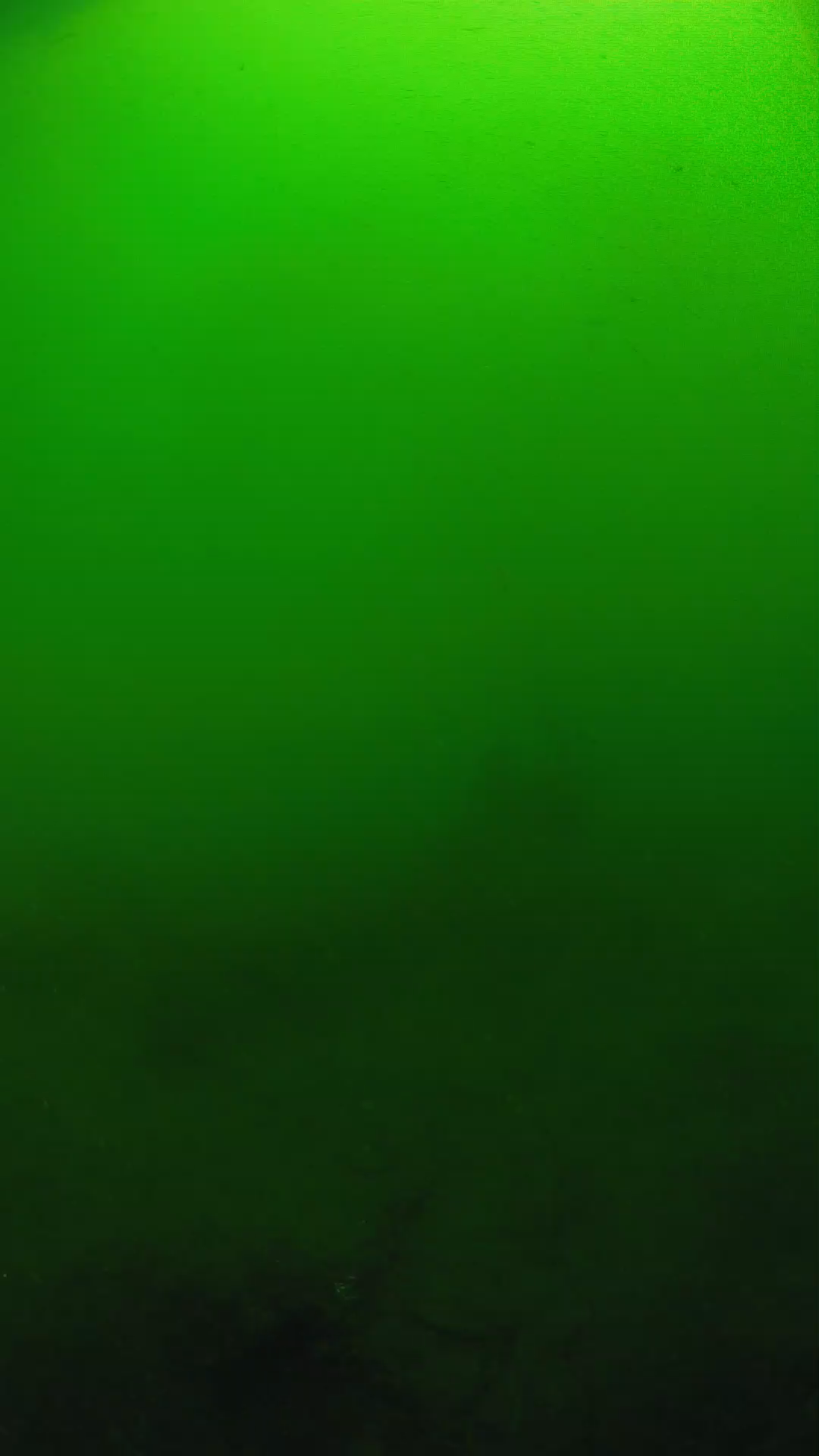 lander_ipcam_20250604100108.png