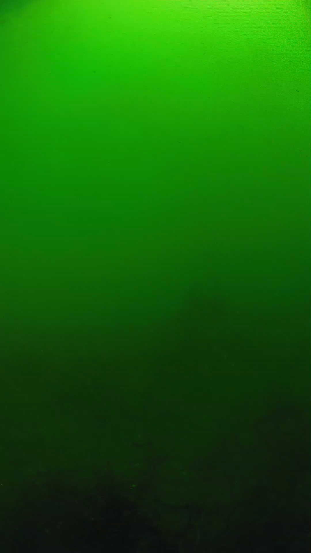 lander_ipcam_20250604100109.png