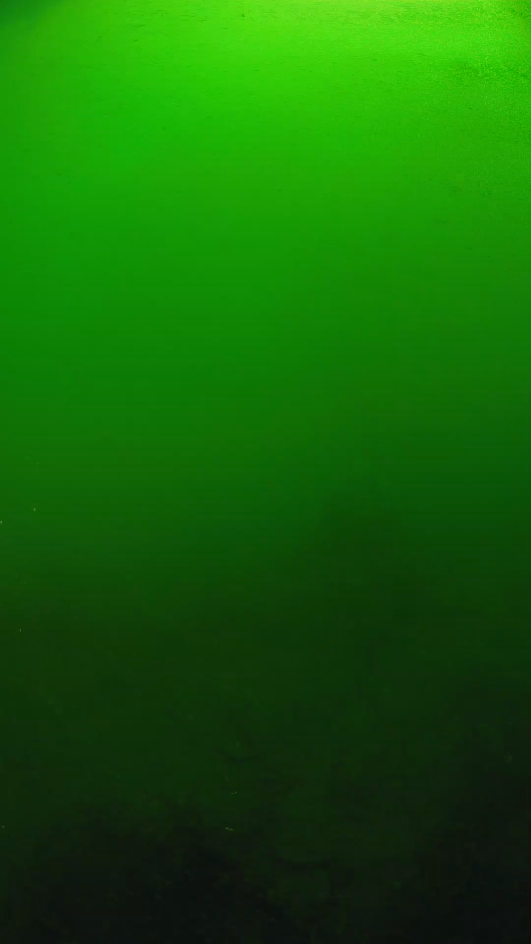 lander_ipcam_20250604100110.png